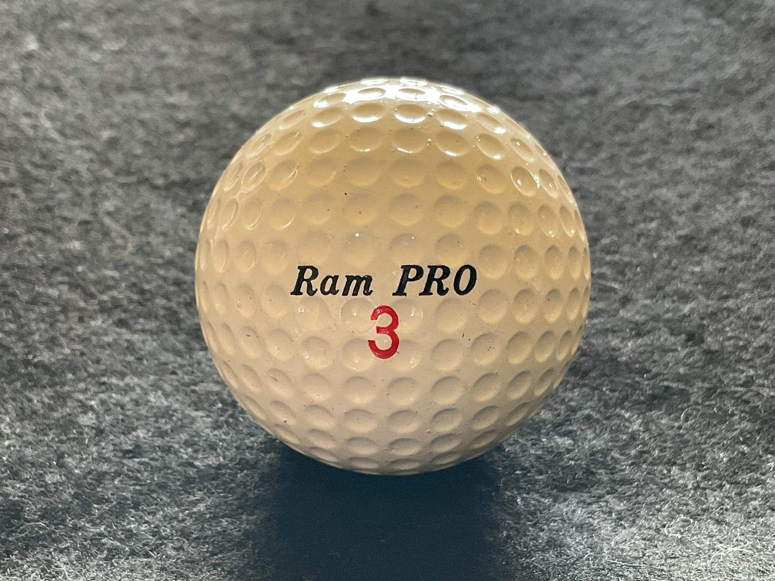 Ram PRO