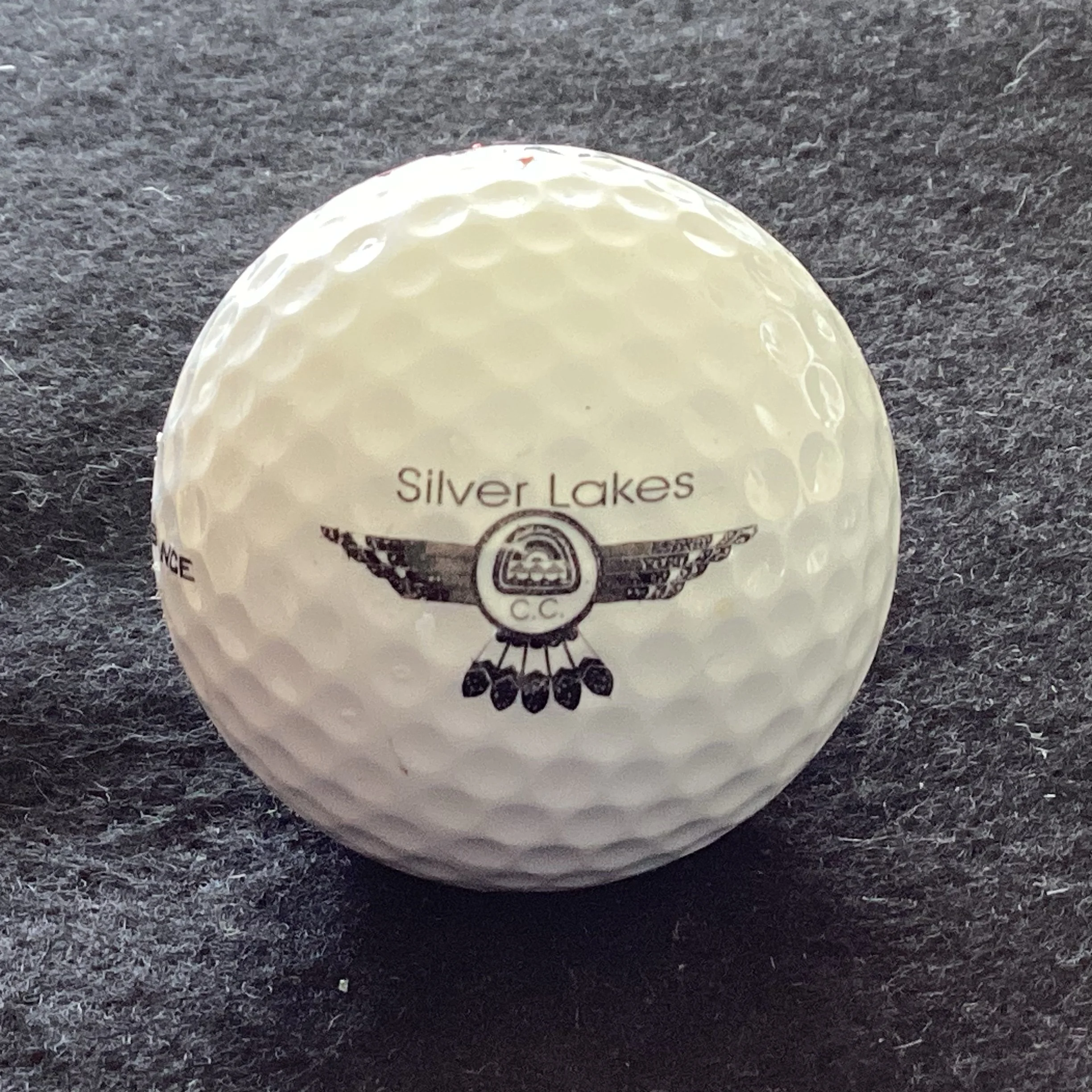 Silver Lakes Country Club