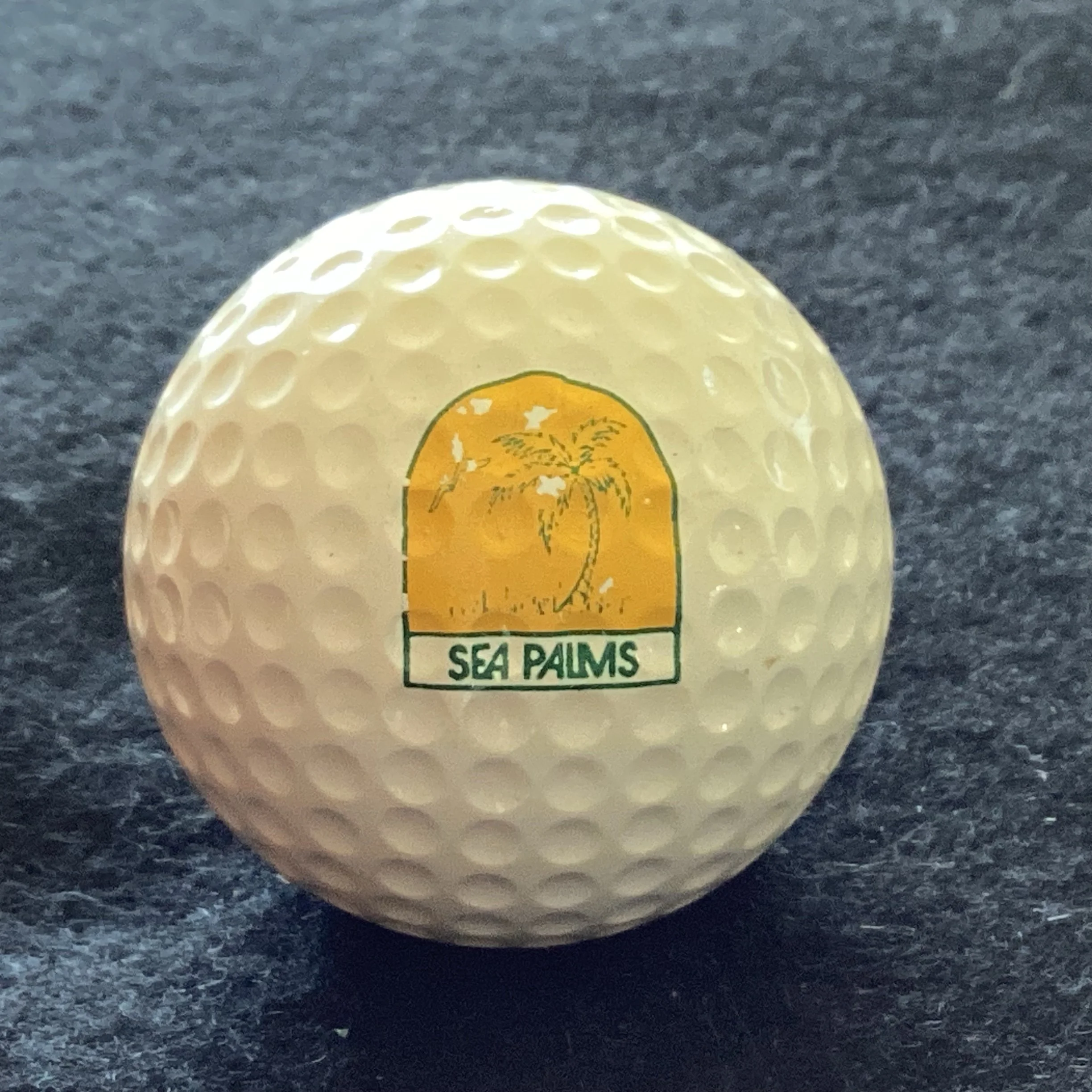 Sea Palms Golf Course