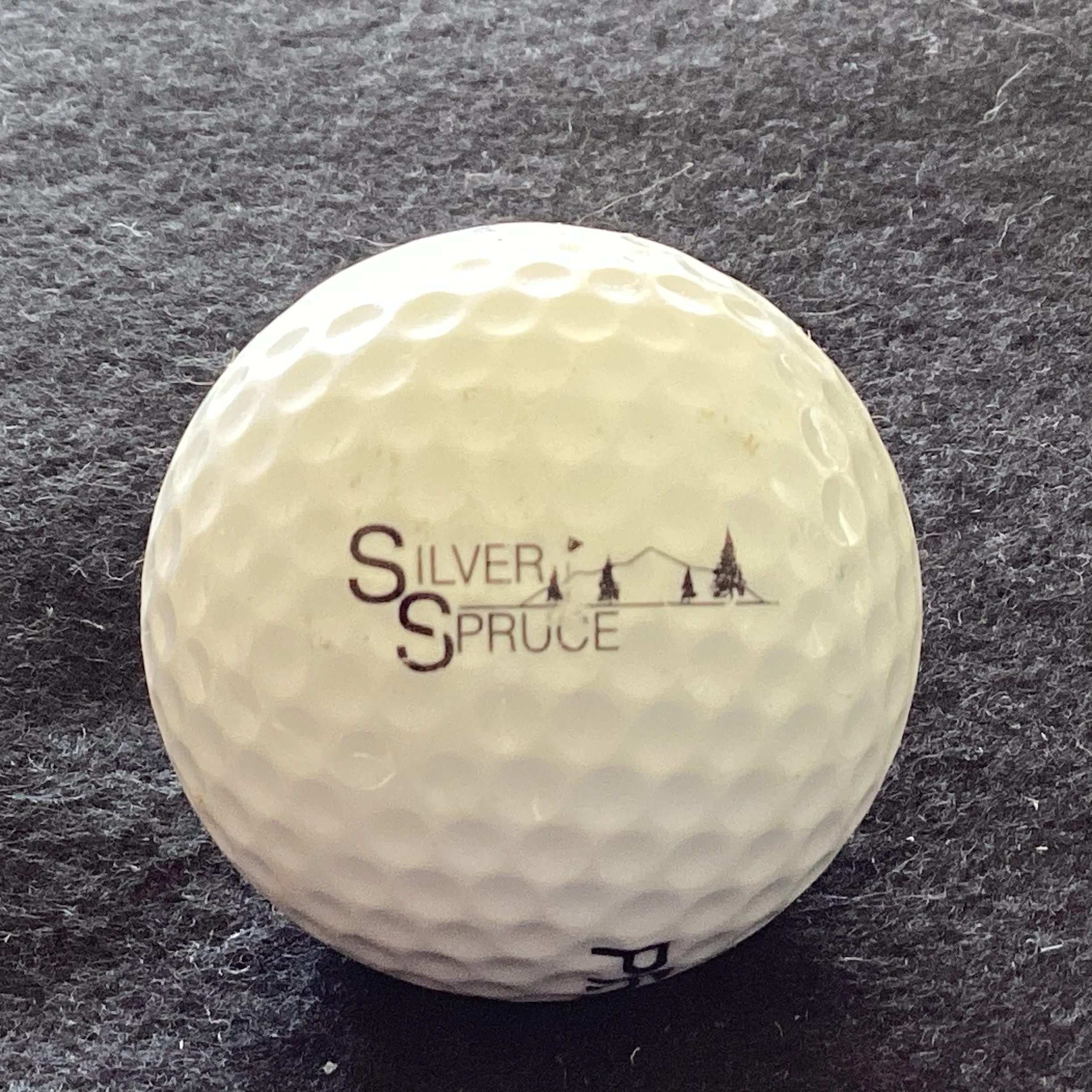 Silver Spruce Golf Course