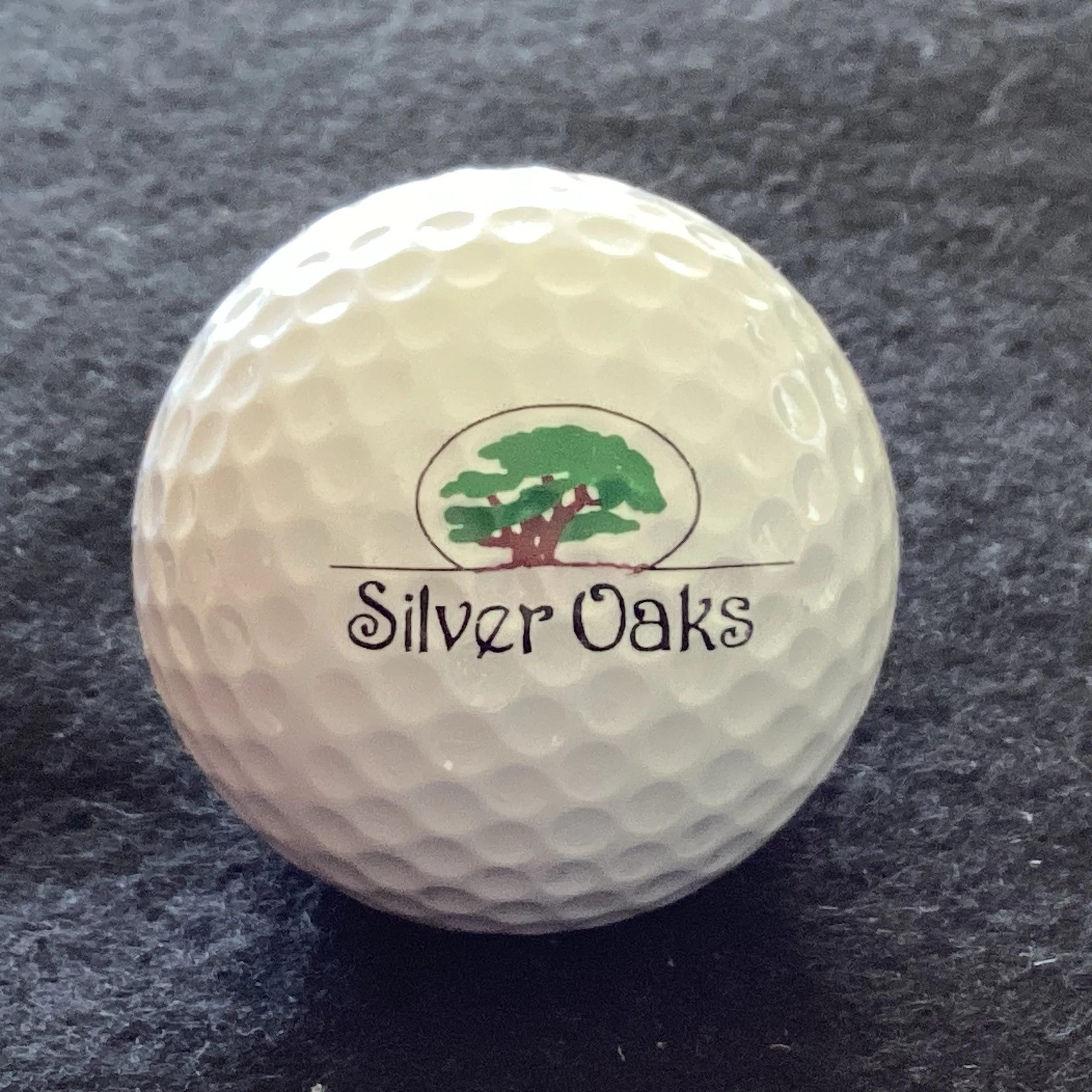 Silver Oaks Golf and Country Club