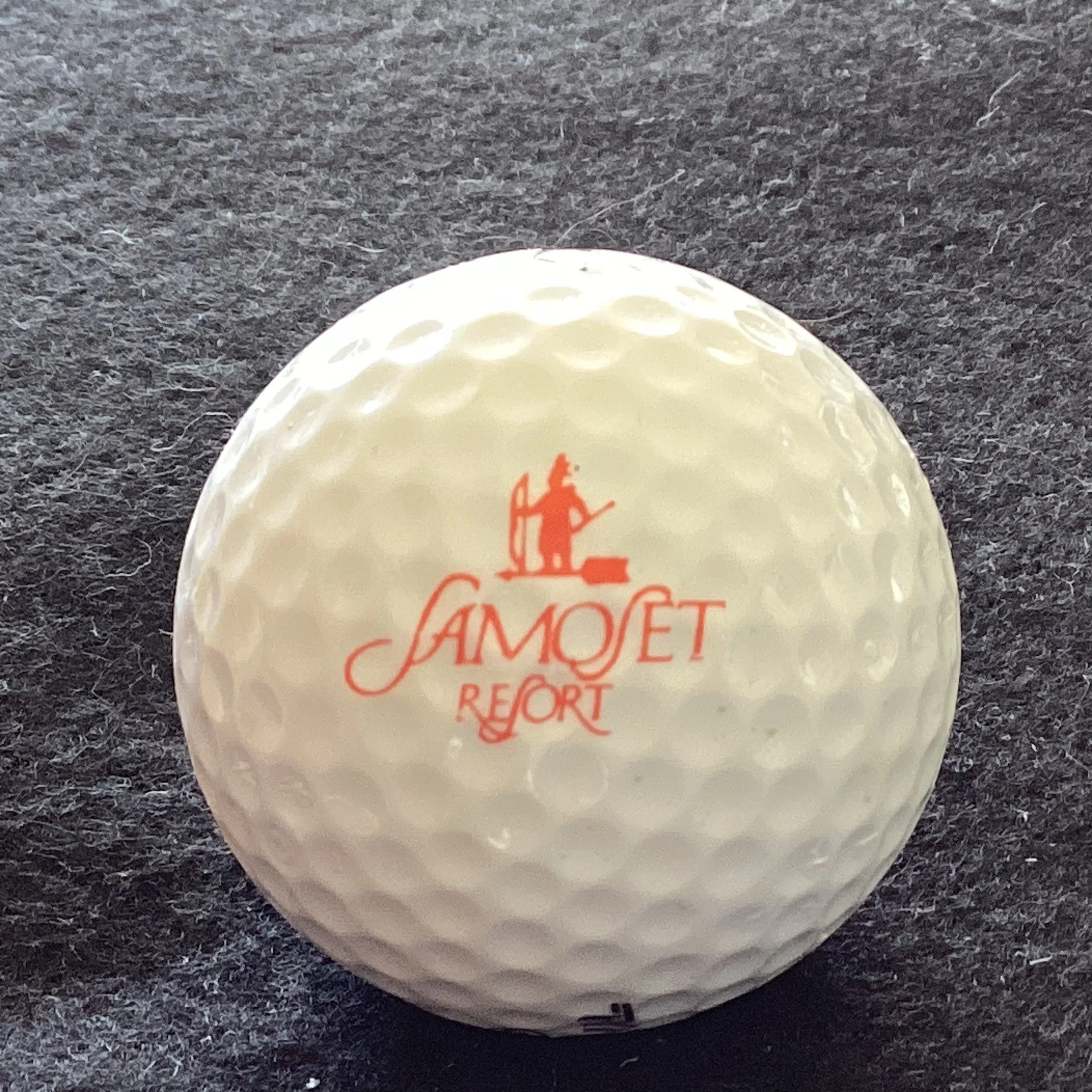 Samoset Resort
