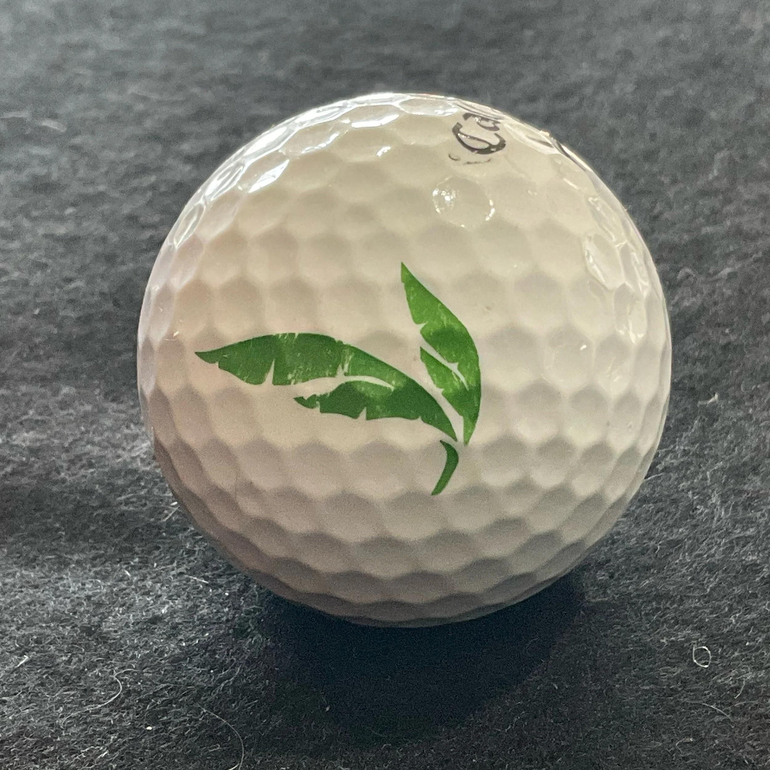 Heritage Palms Country Club