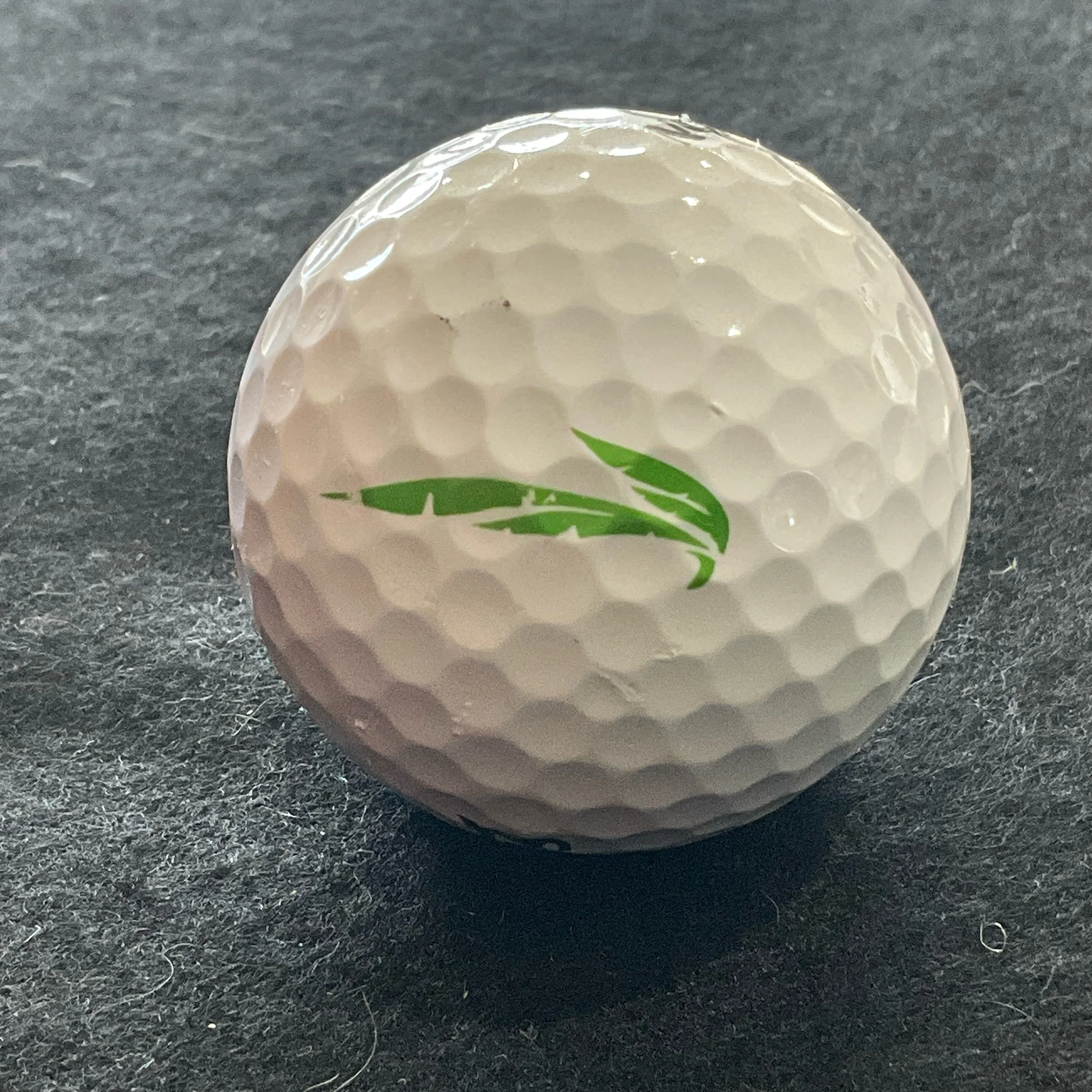Heritage Palms Golf and Country Club