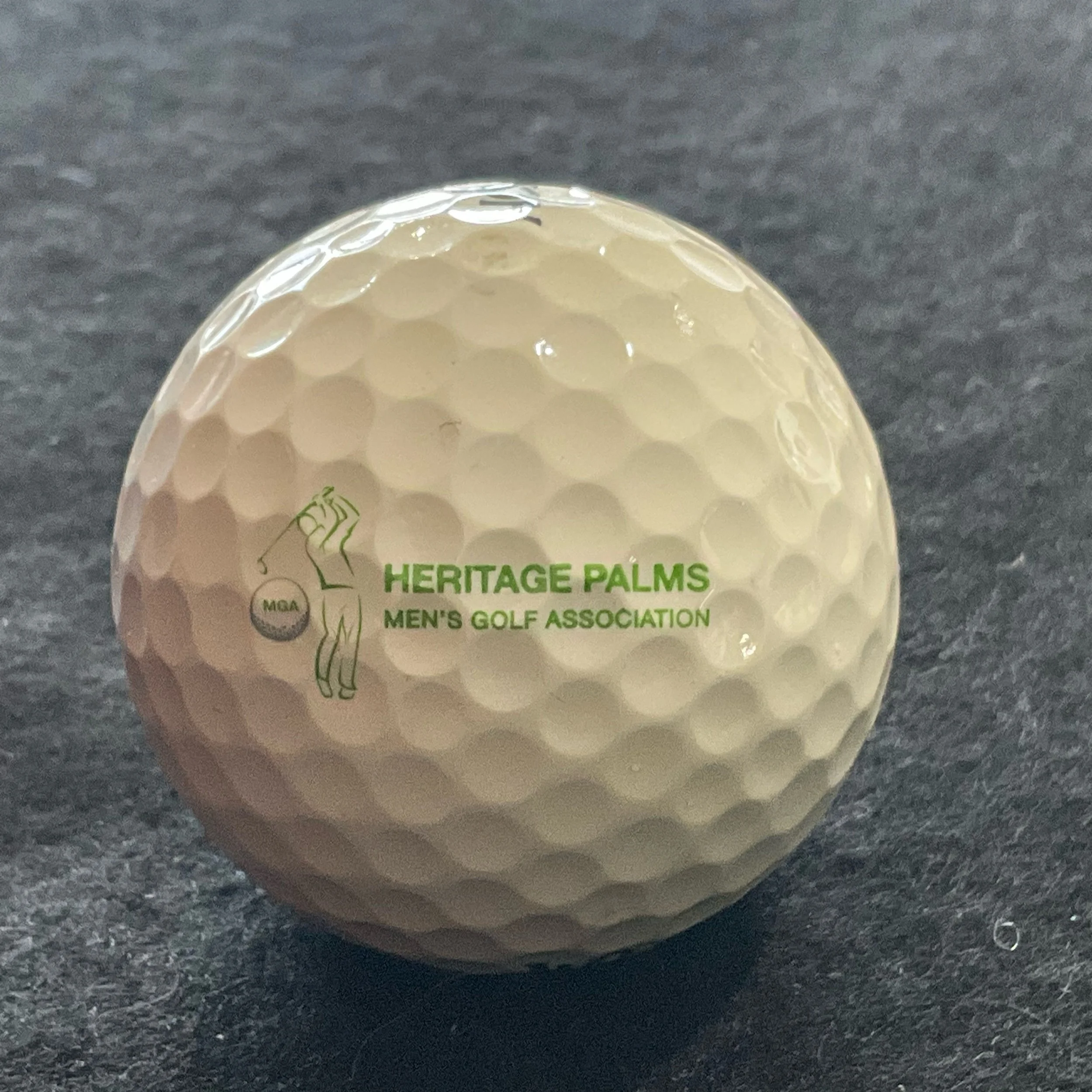 Heritage Palms Men’s Golf Association