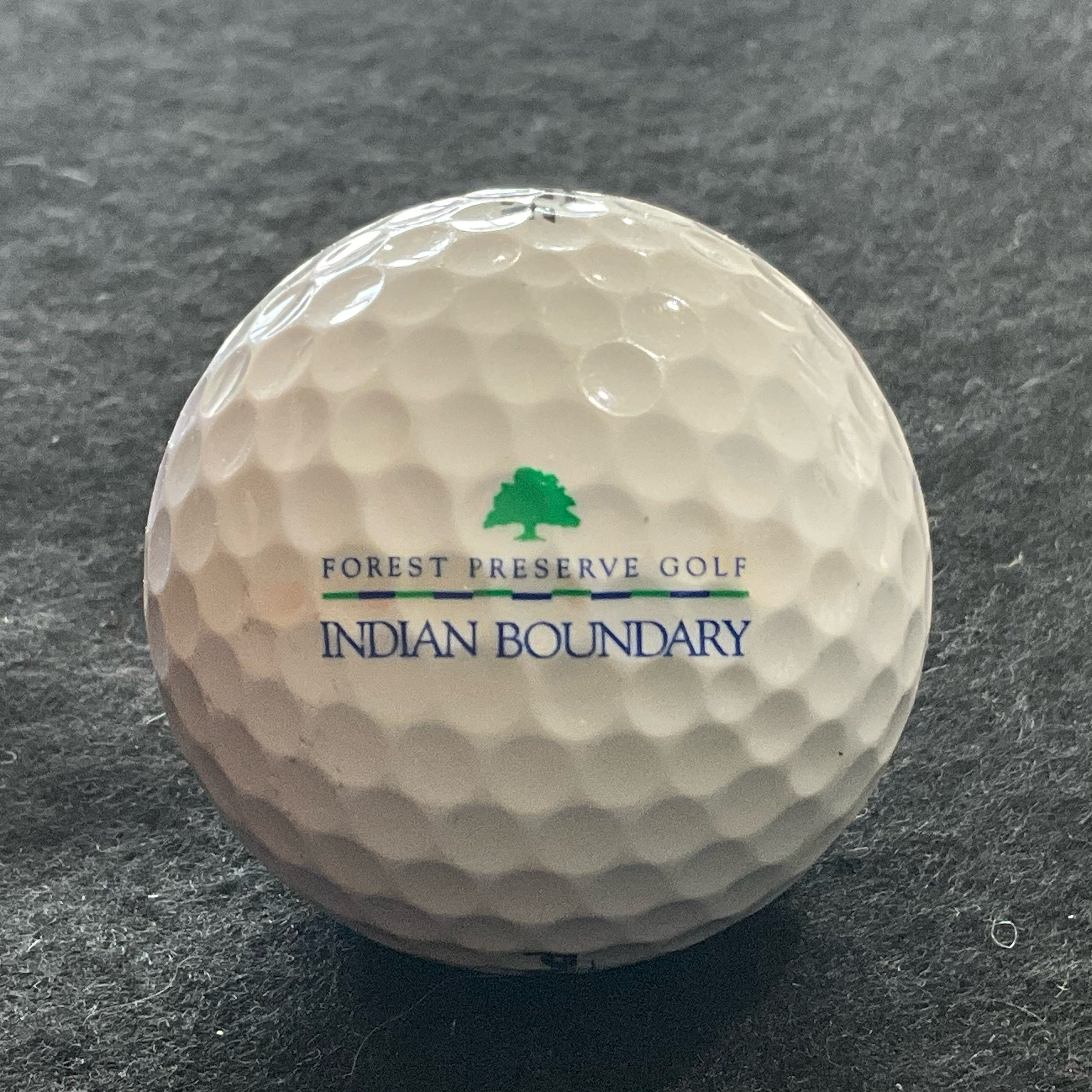 Indian Boundary Golf Course -  Forest Preserve