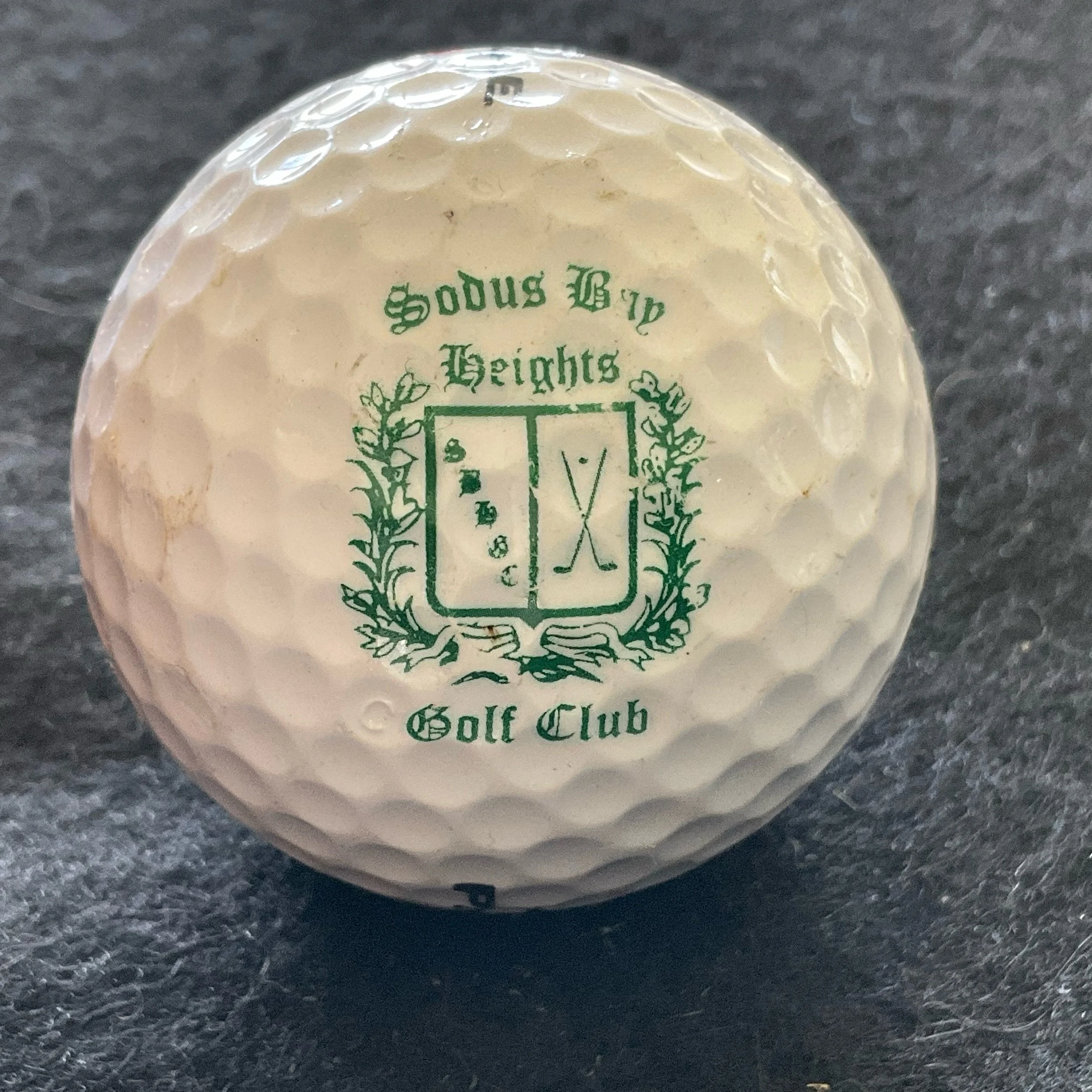 Sodus Bay Heights Golf Club