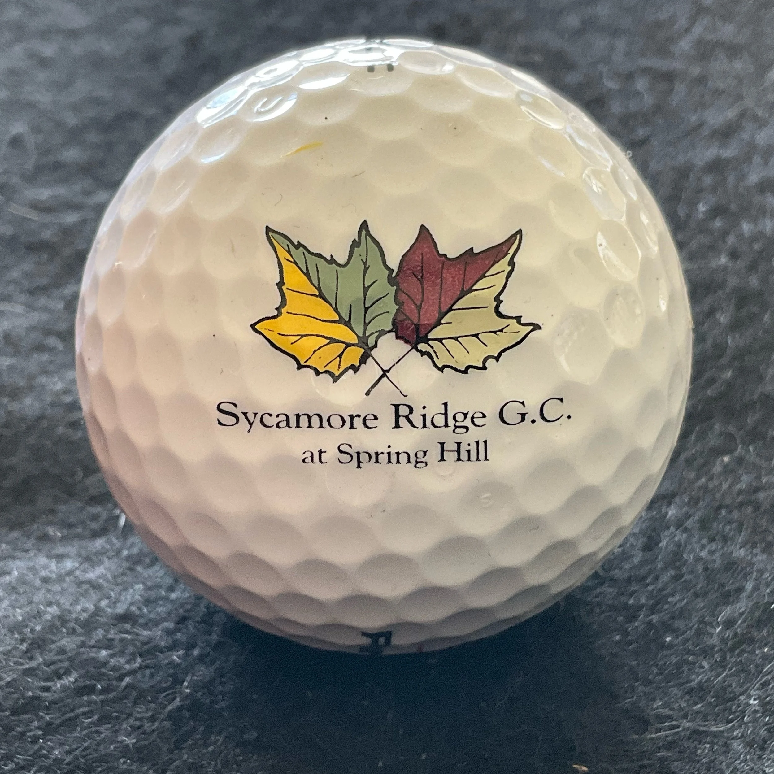 Sycamore Ridge Golf Course at Spring Hill