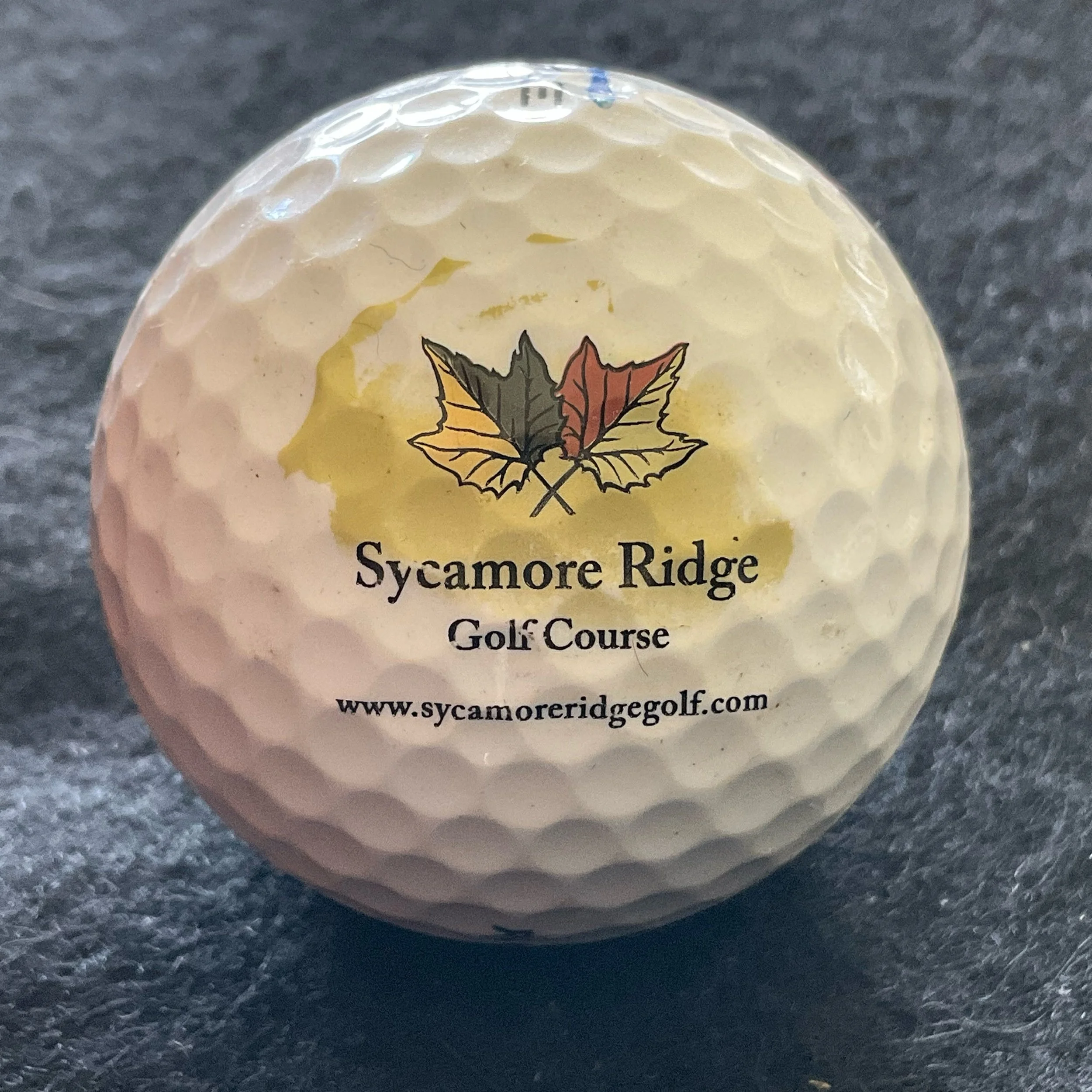 Sycamore Ridge Golf Course