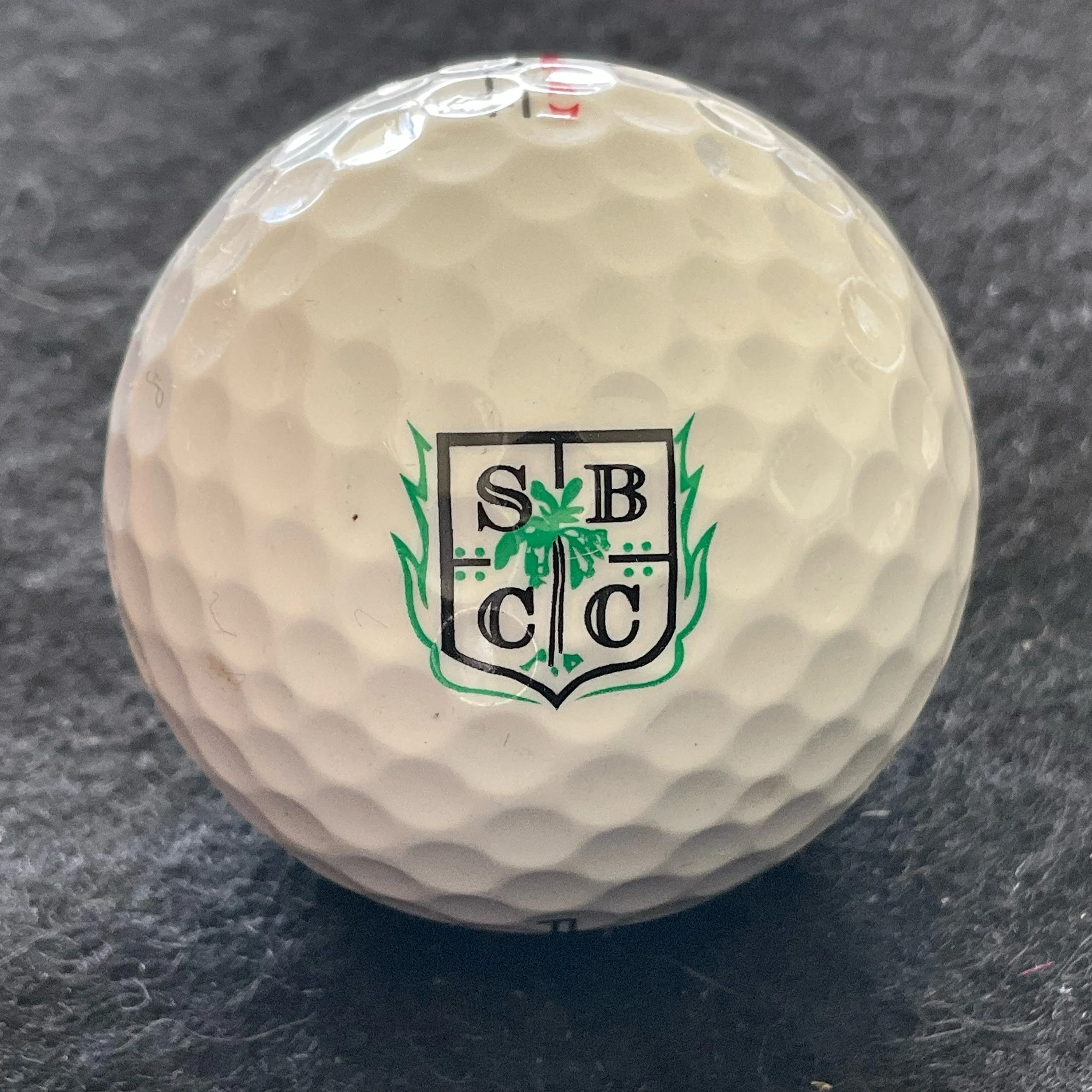 Sara Bay Country Club