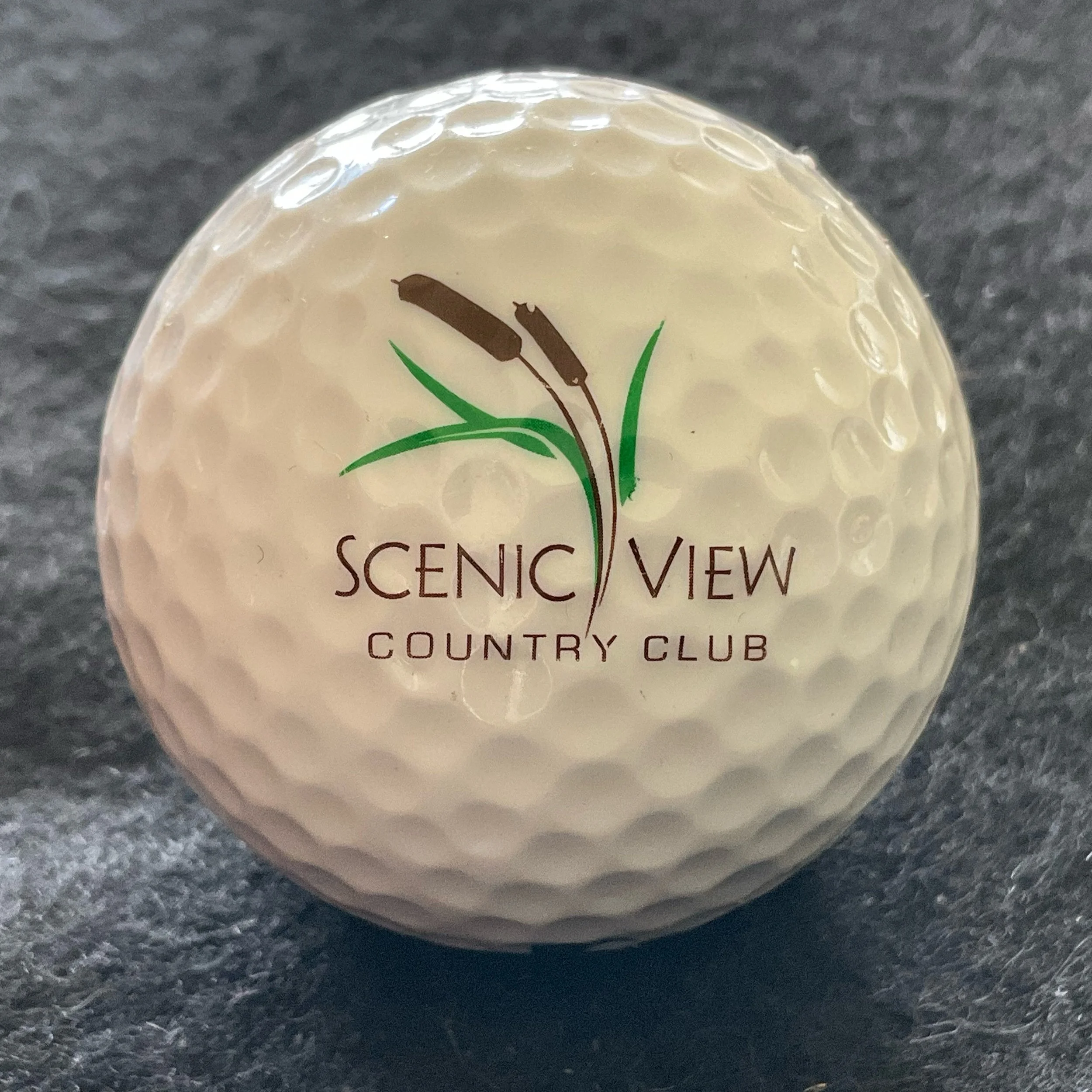 Scenic View Country Club