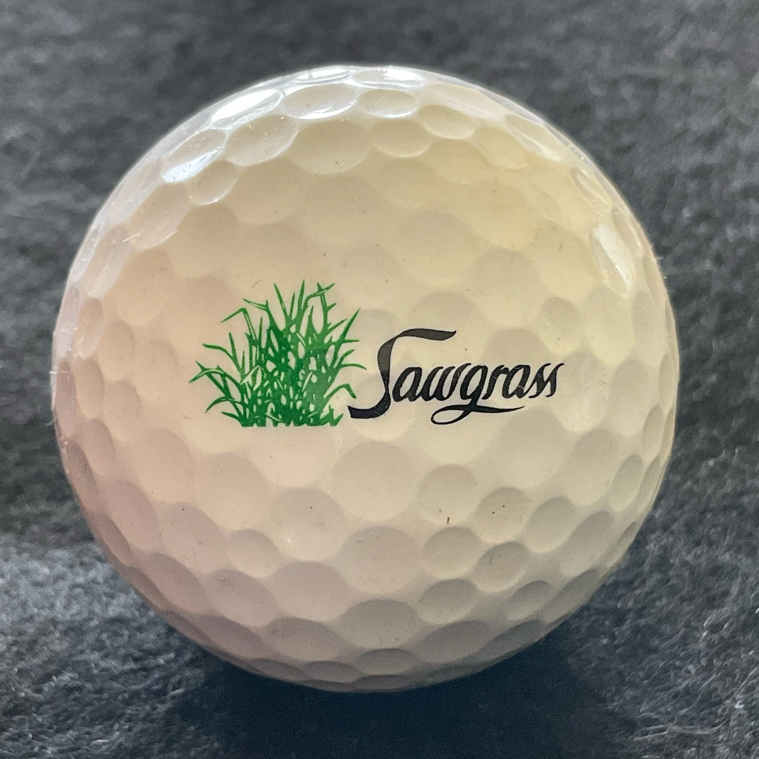 Sawgrass Country Club