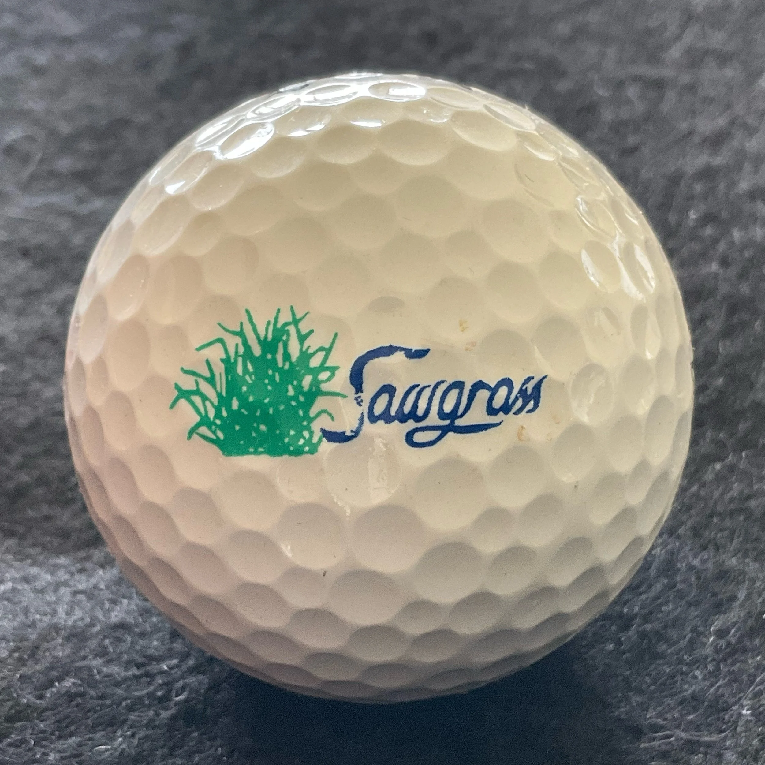 Sawgrass Country Club