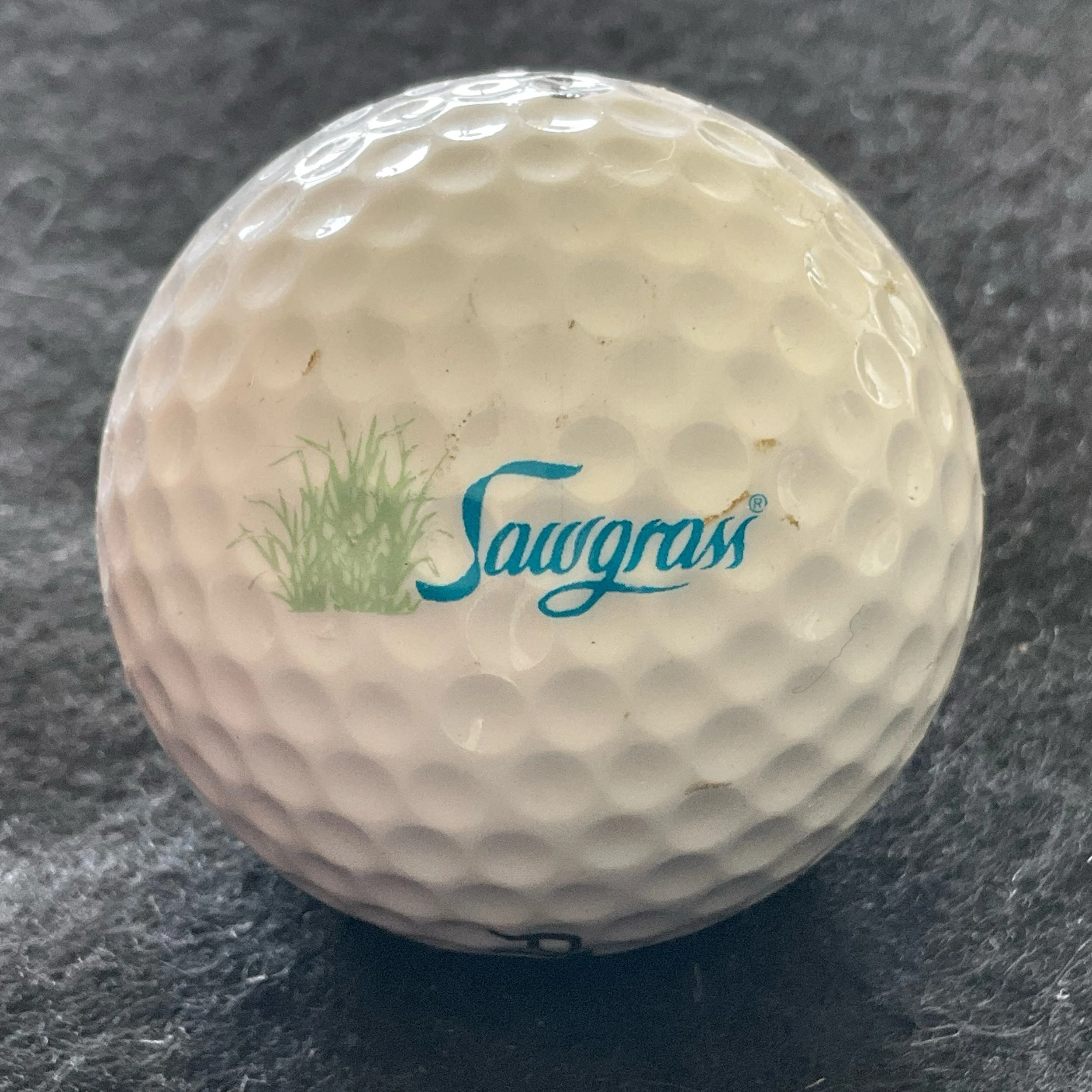 Sawgrass Country Club