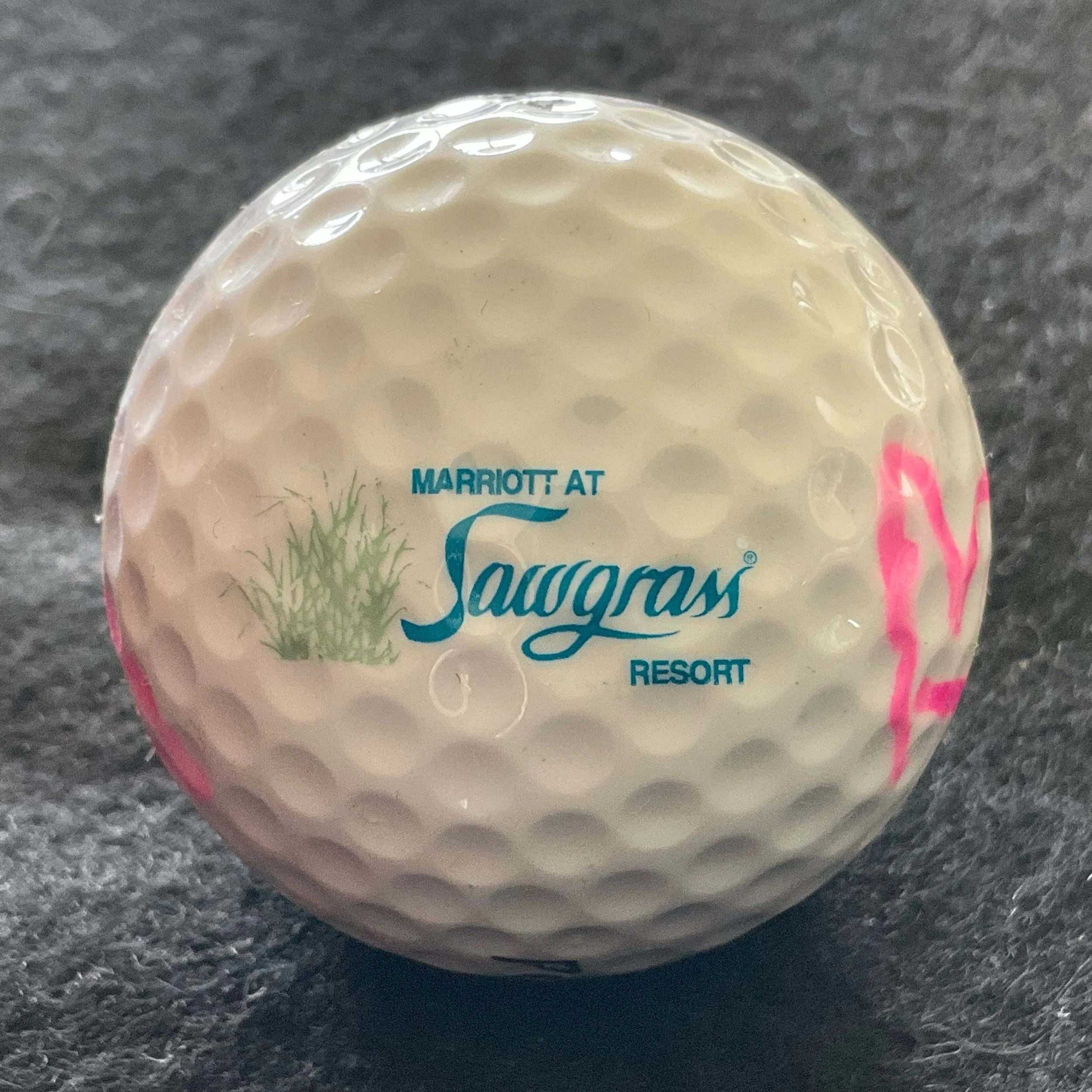 Sawgrass - Marriott at Sawgrass Resort