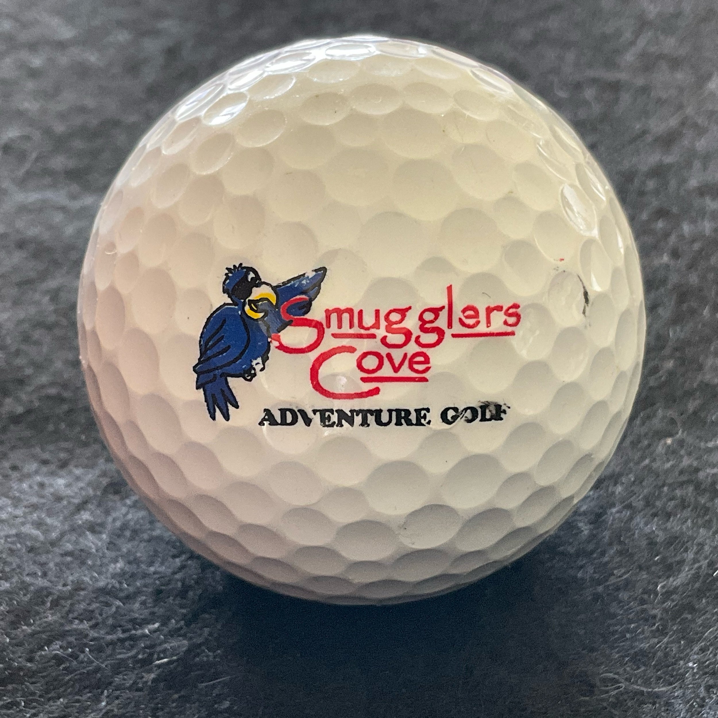 Smugglers Cove Adventure Golf - Mini Golf