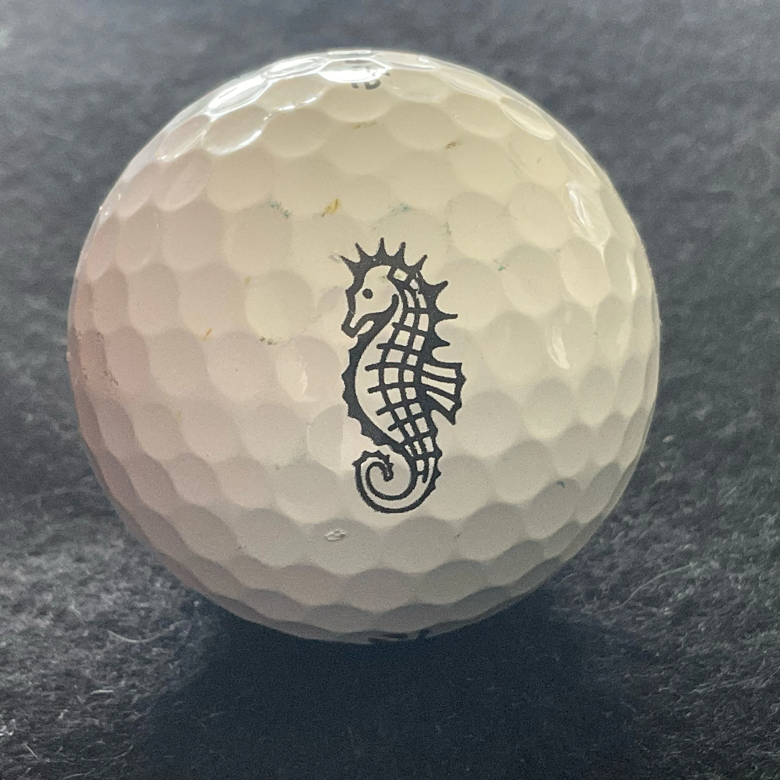 Ponte Vedra Inn Club
