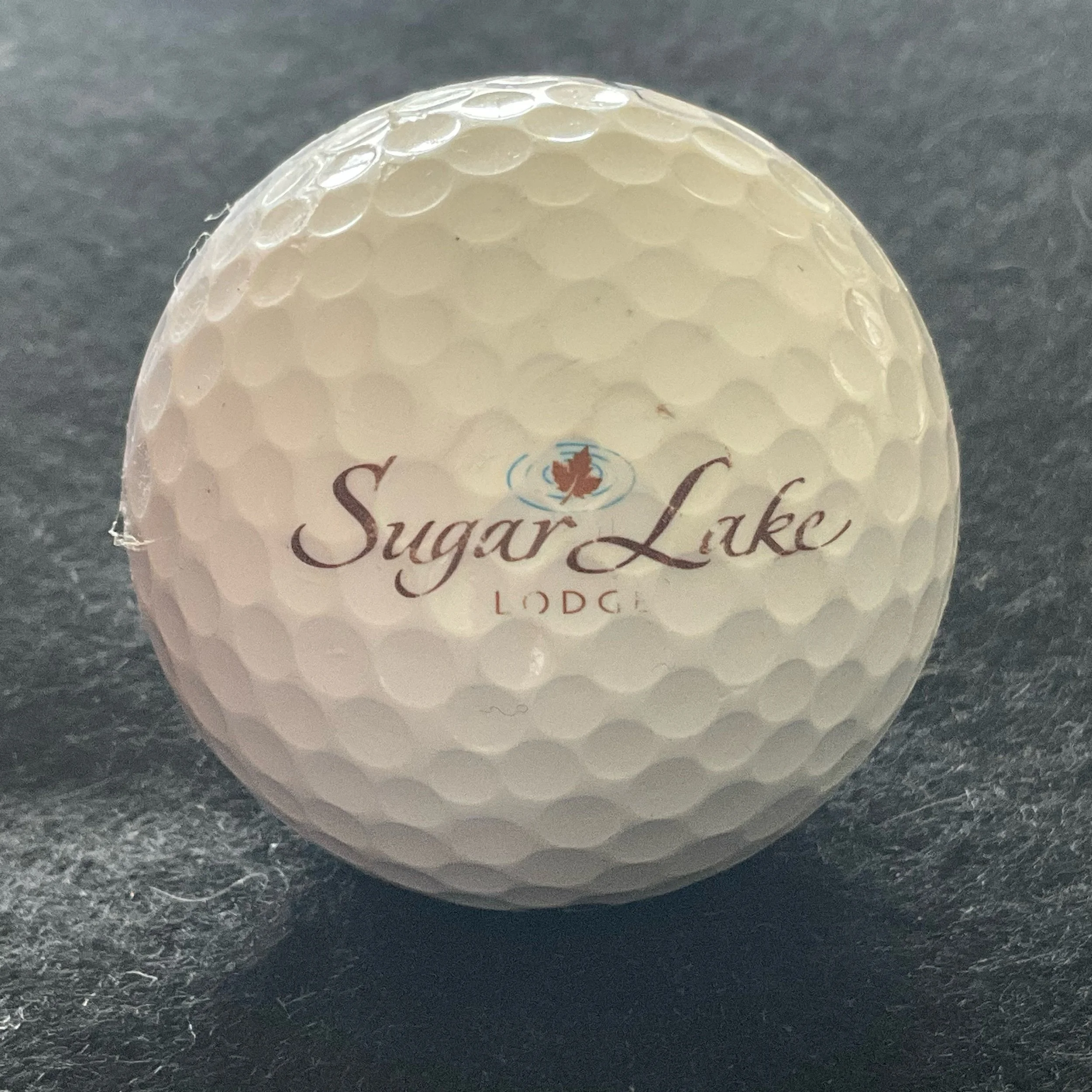 Sugar Lake Lodge