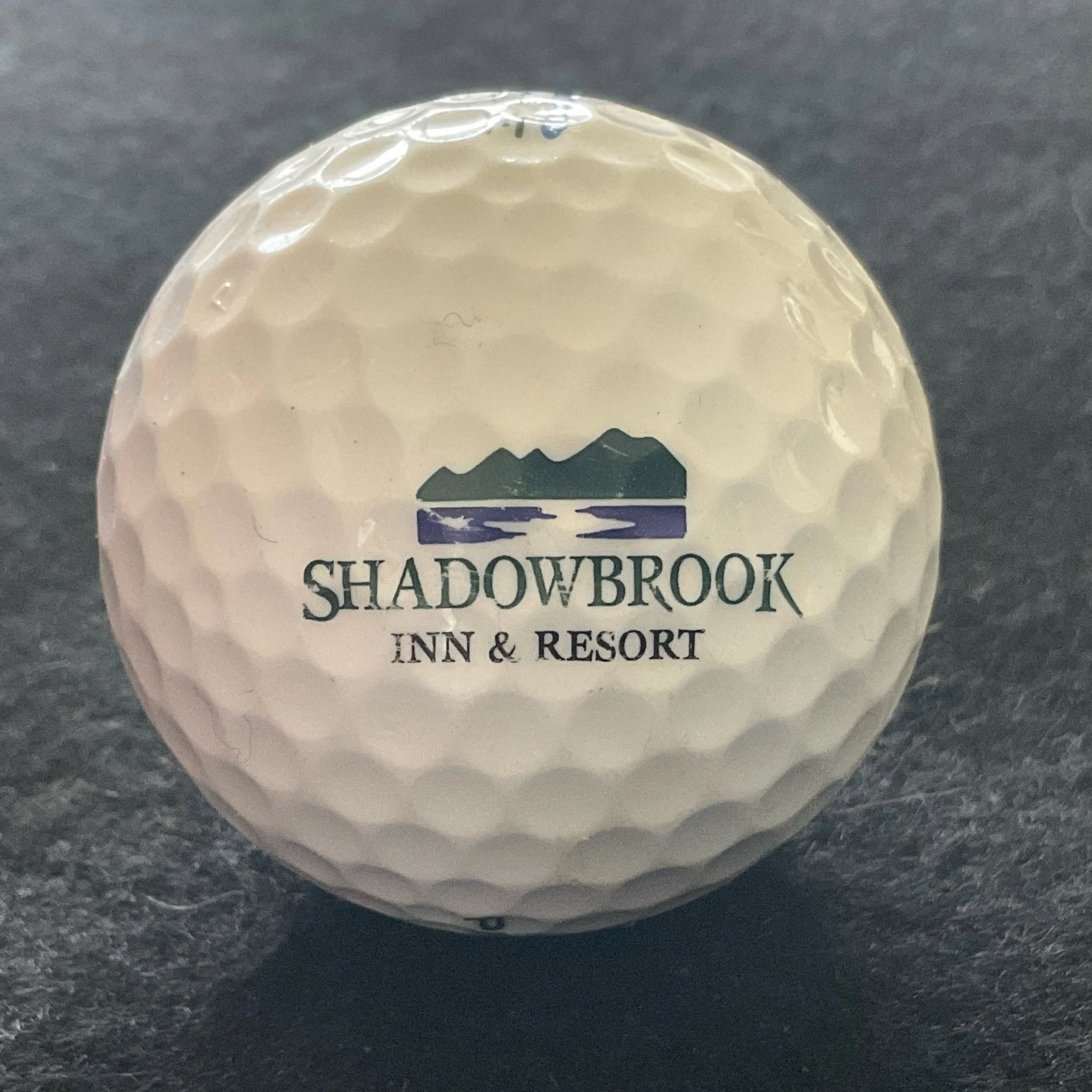 Shadowbrook Inn and Resort