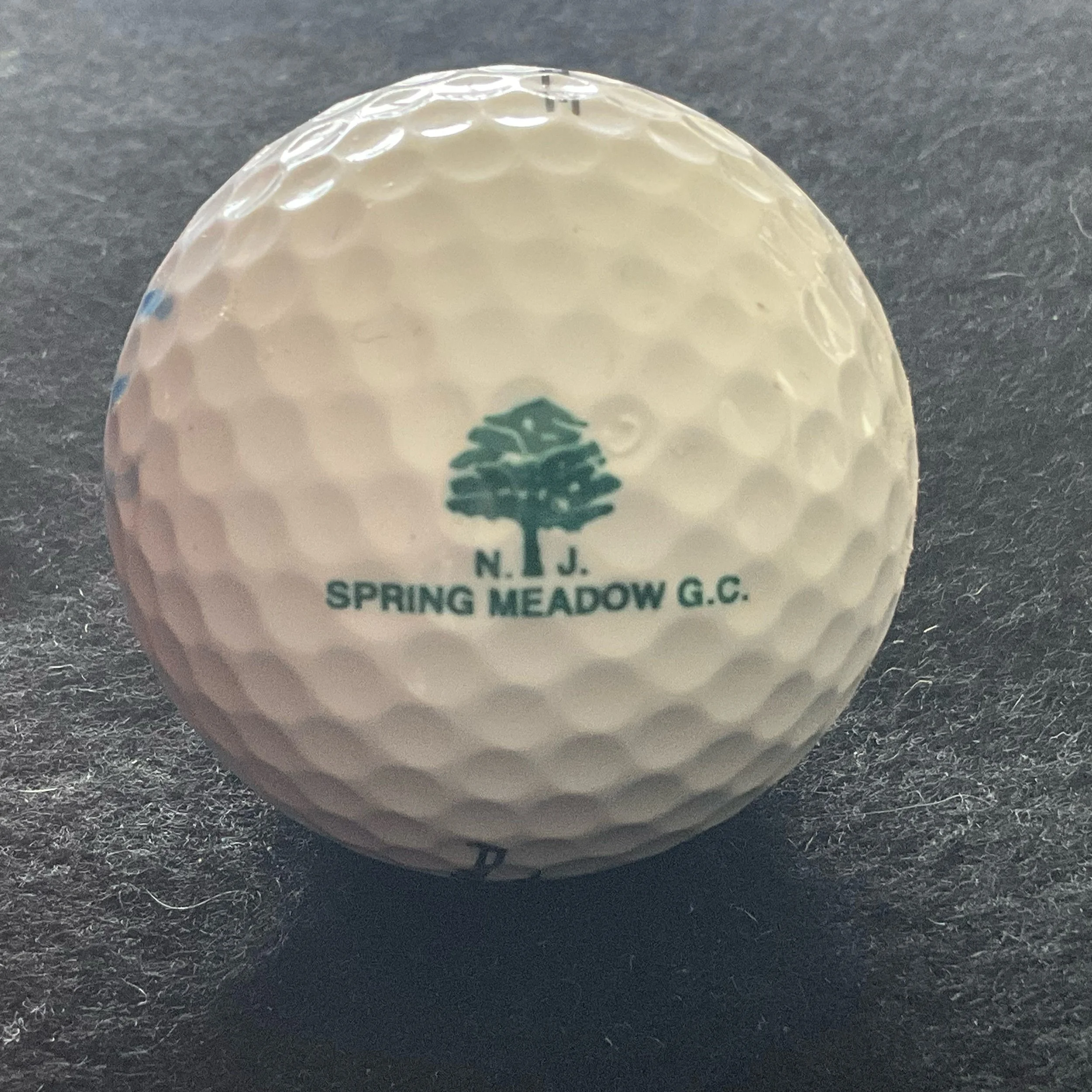 Spring Meadow Golf Club