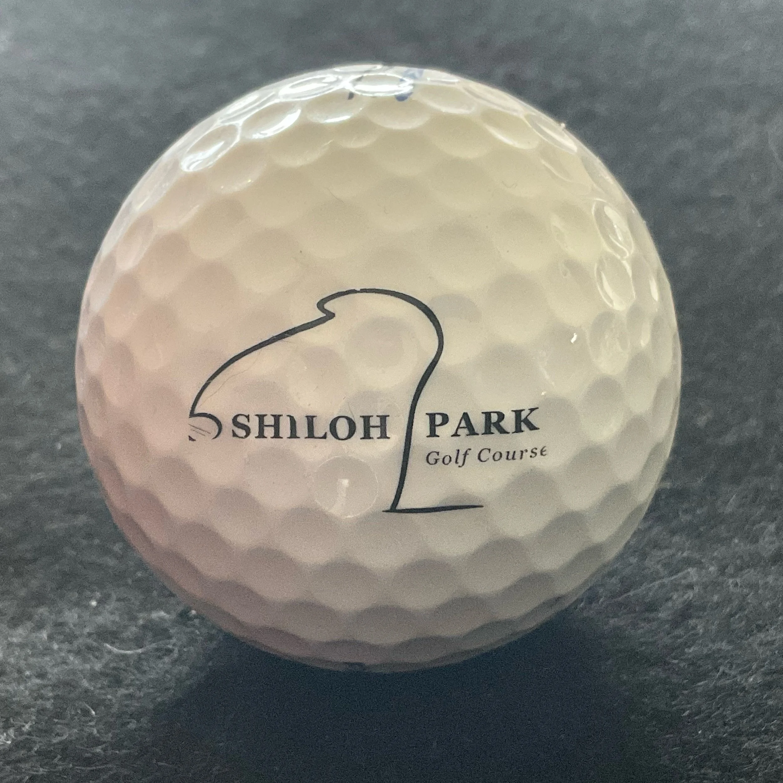 Shiloh Park Golf Course