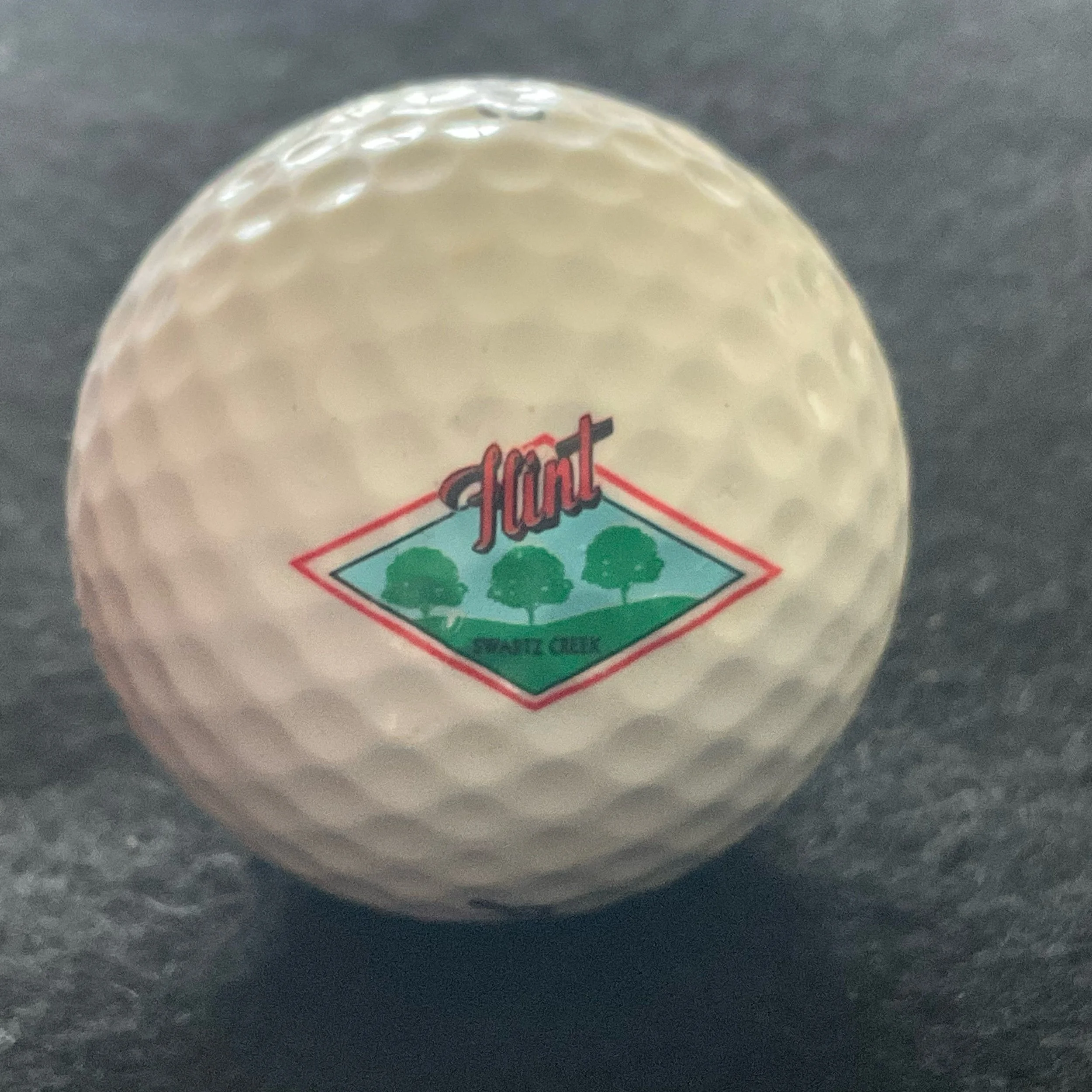 Swartz Creek Golf Club
