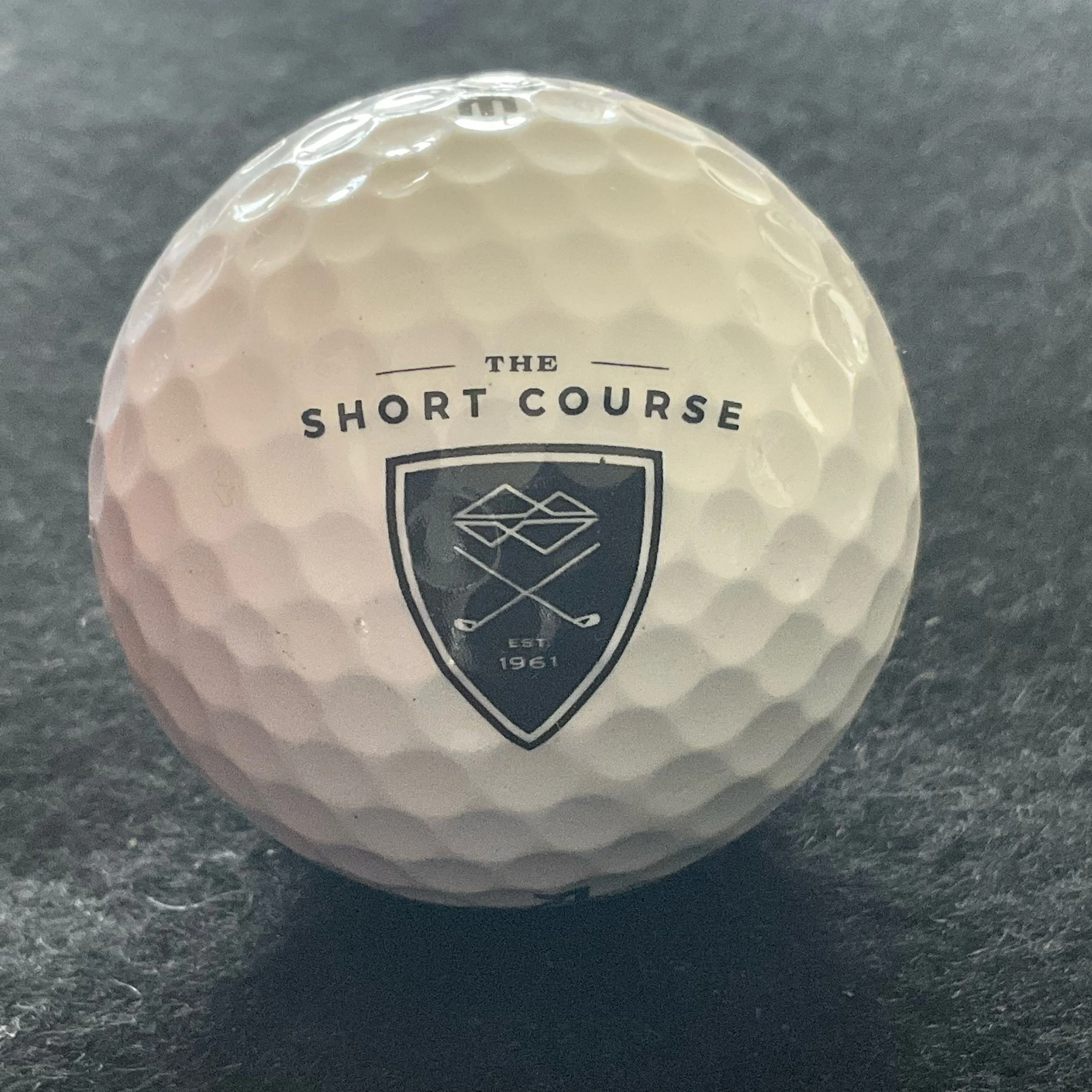Short Course - The Short Course at Mountain Shadows