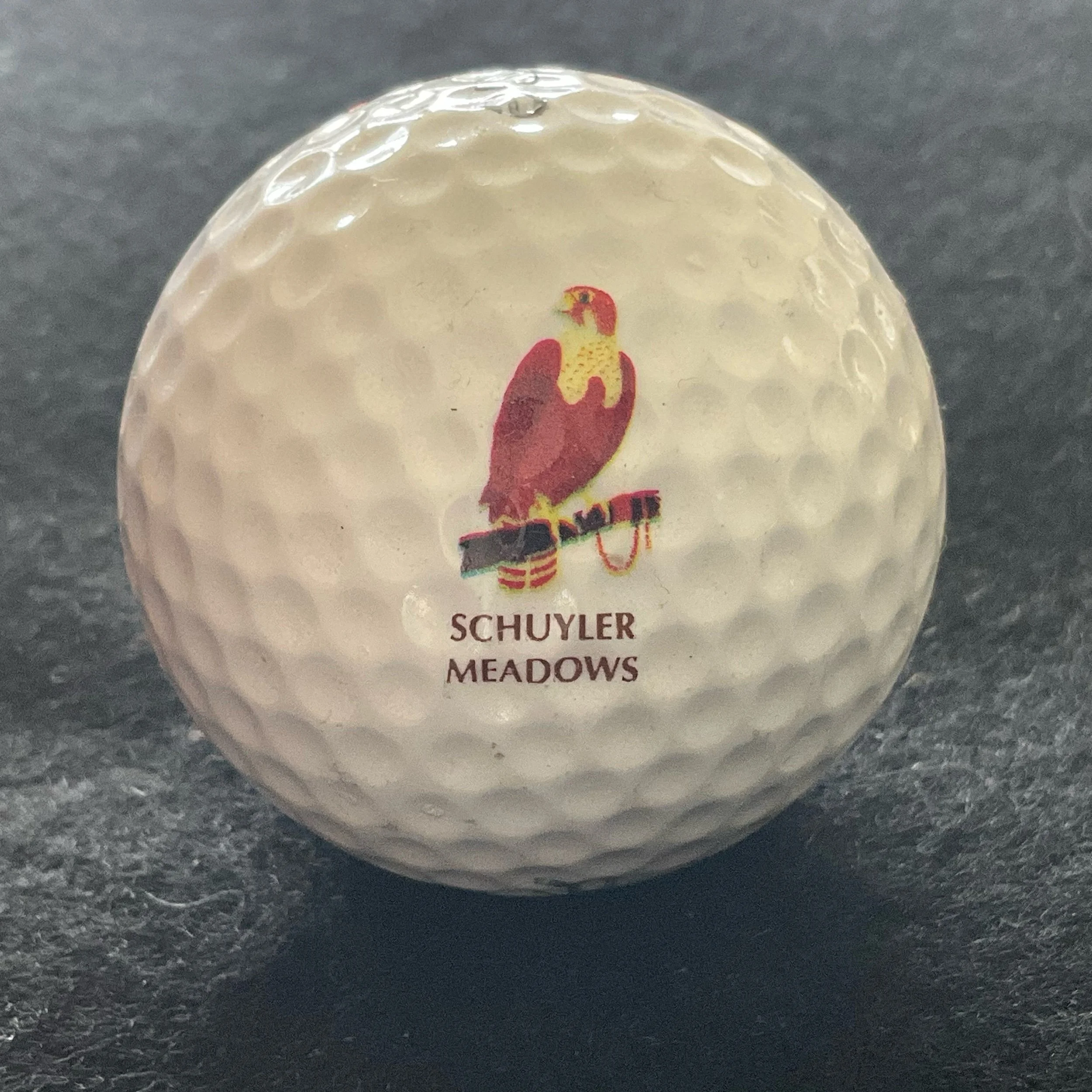 Schuyler Meadows Golf Club