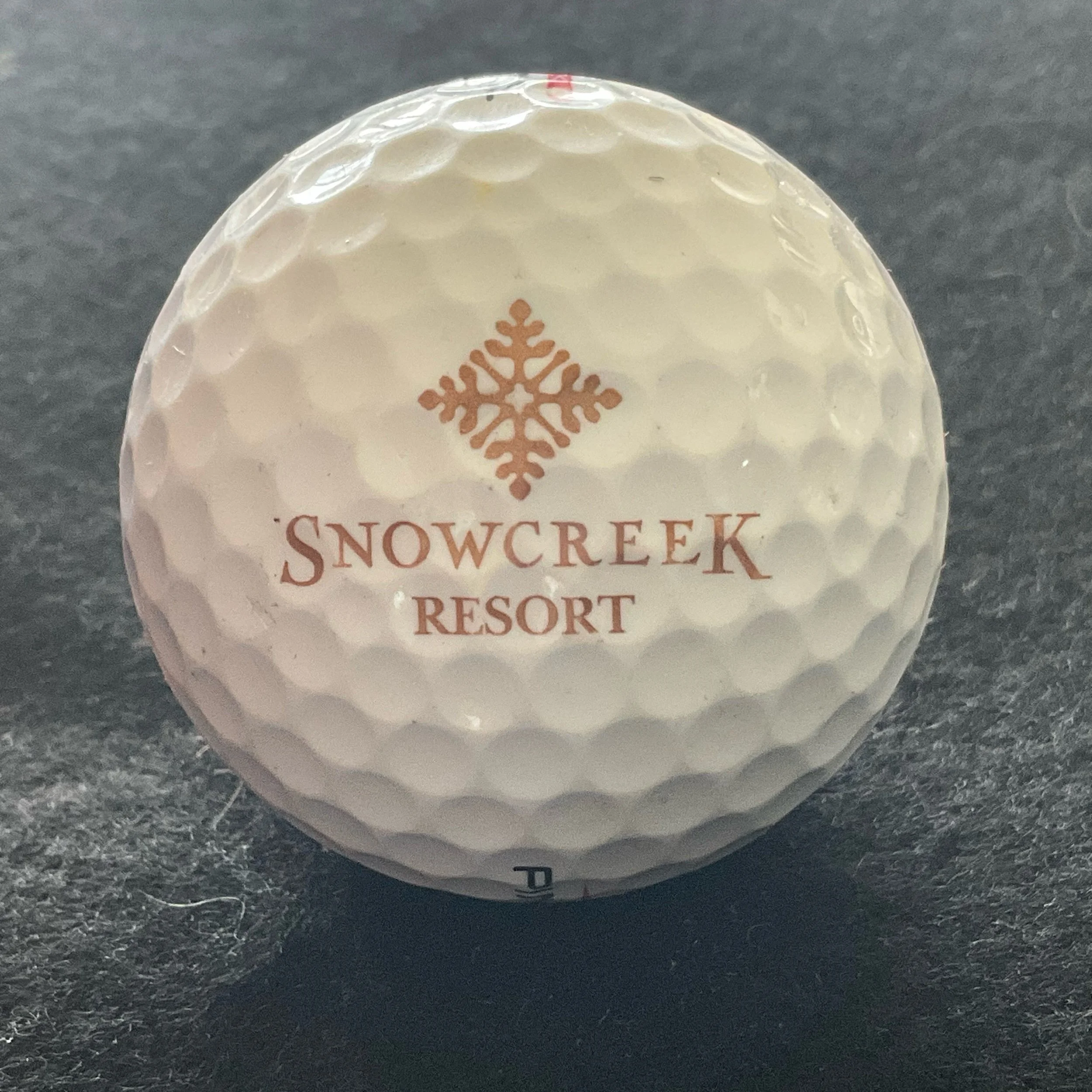 Snowcreek Resort