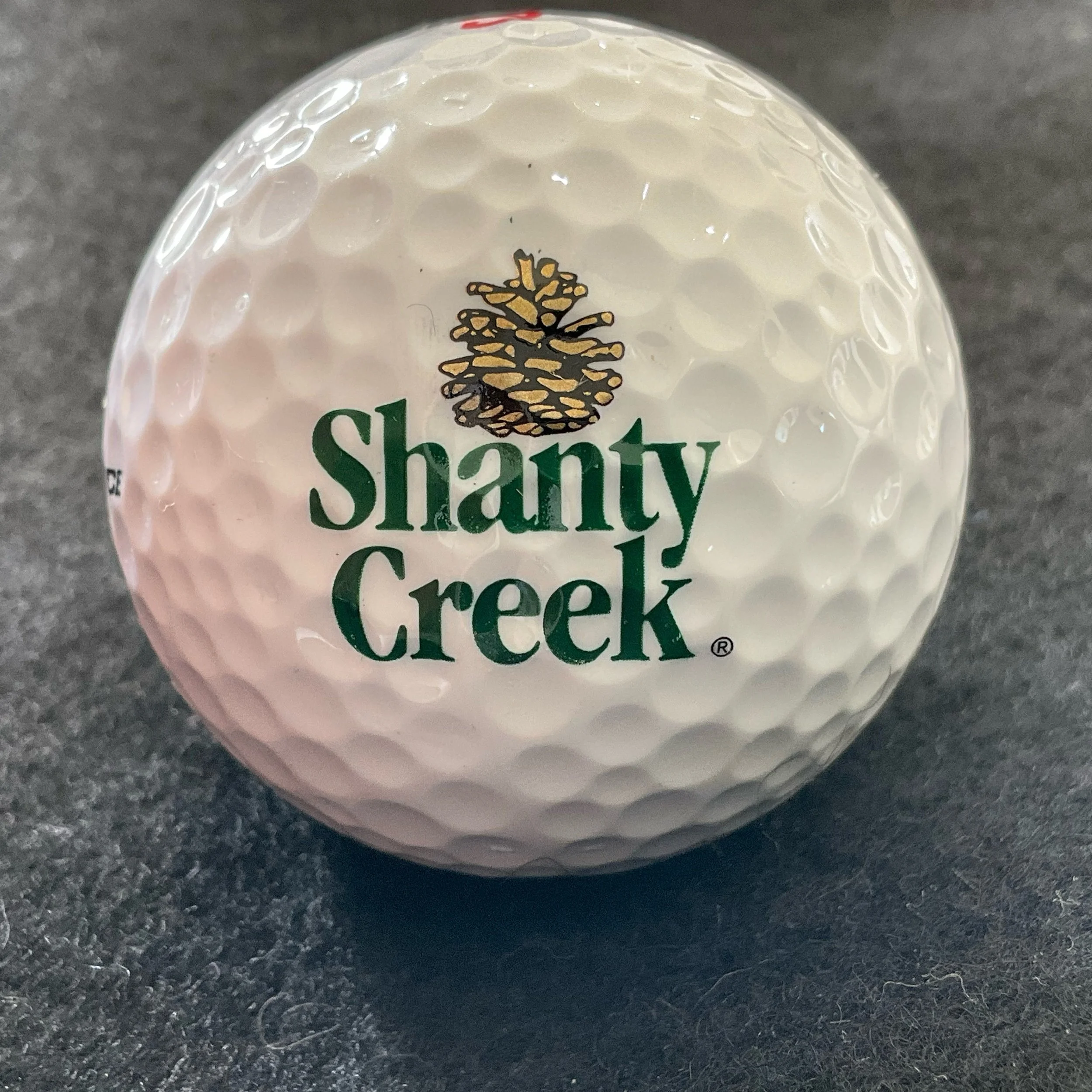 Shanty Creek Resort