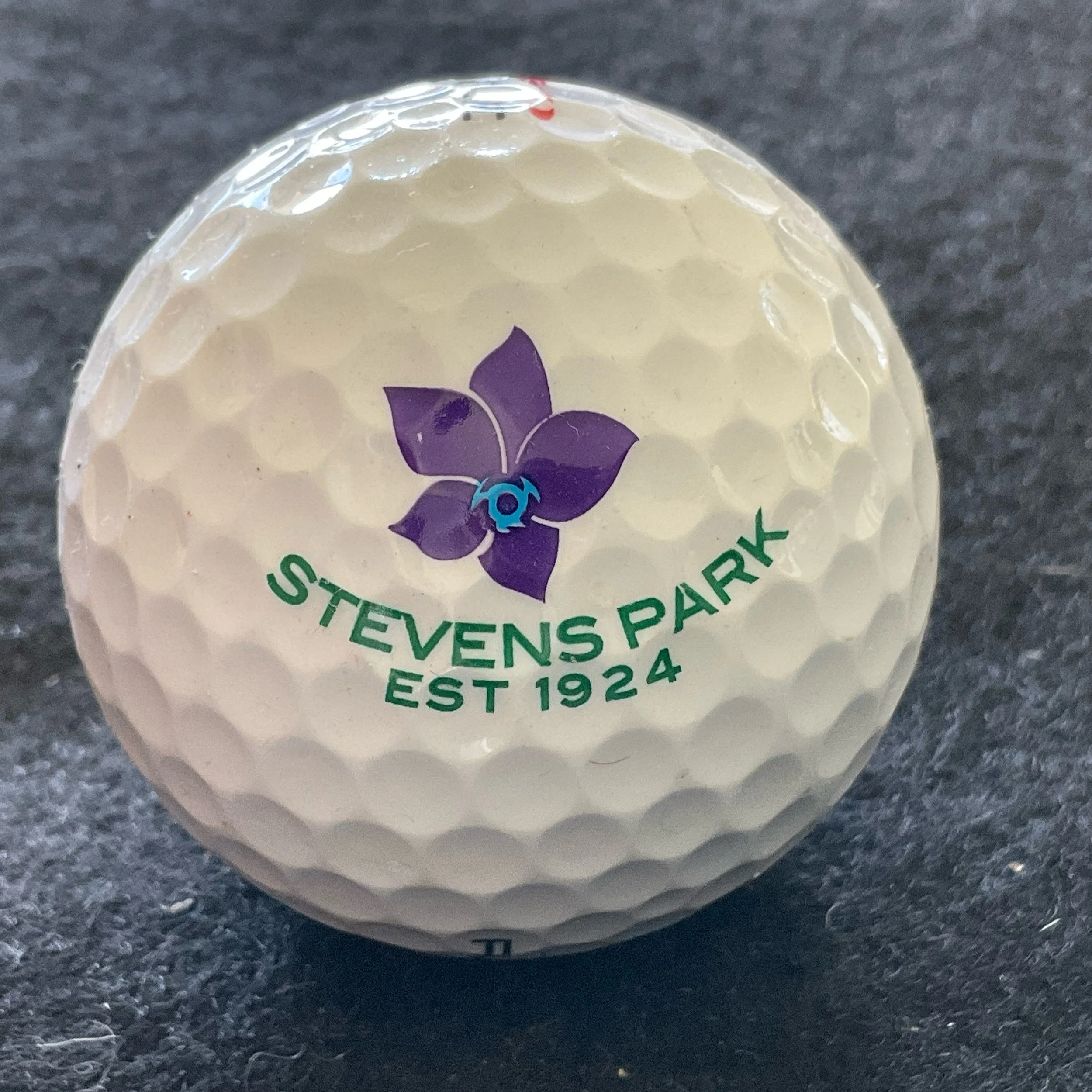 Stevens Park Golf Club