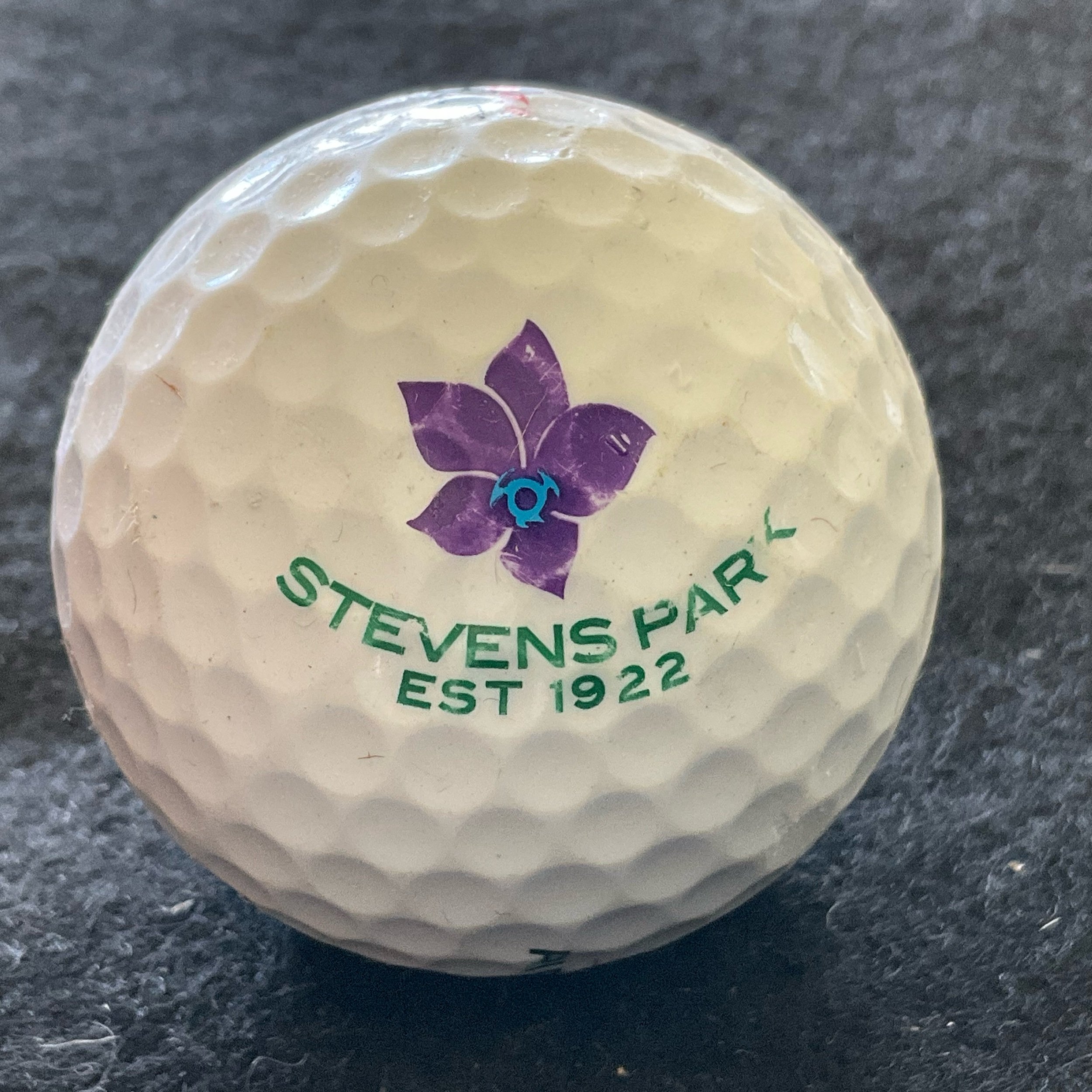 Stevens Park Golf Club