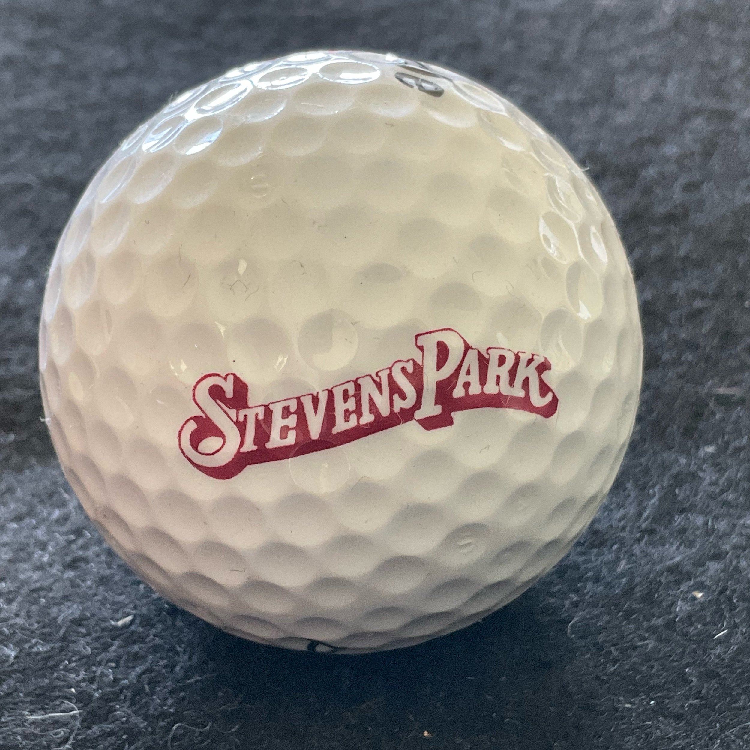 Stevens Park Golf Club