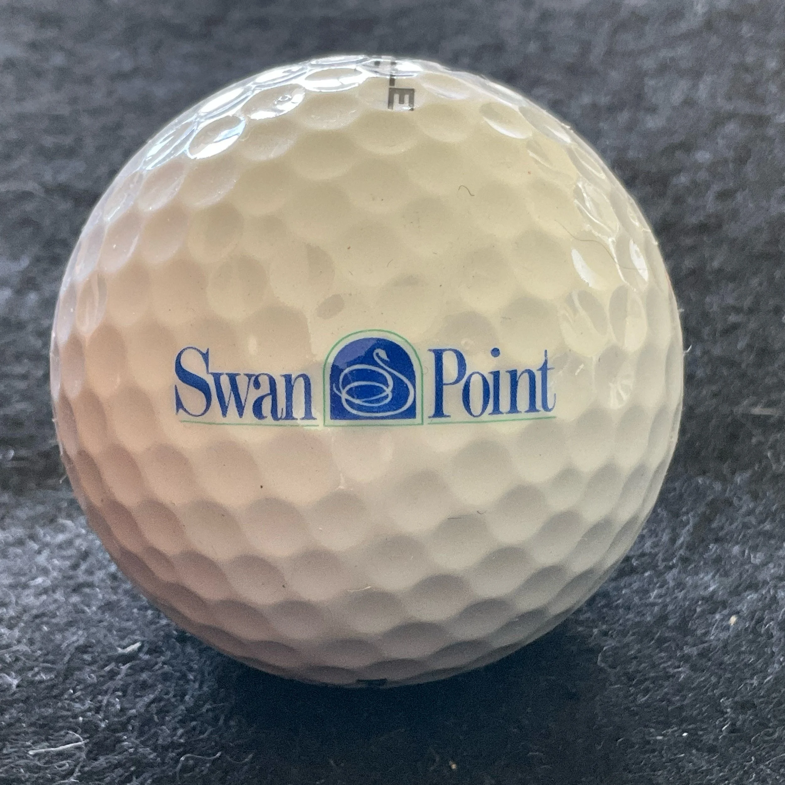 Swan Point Yacht and Country Club