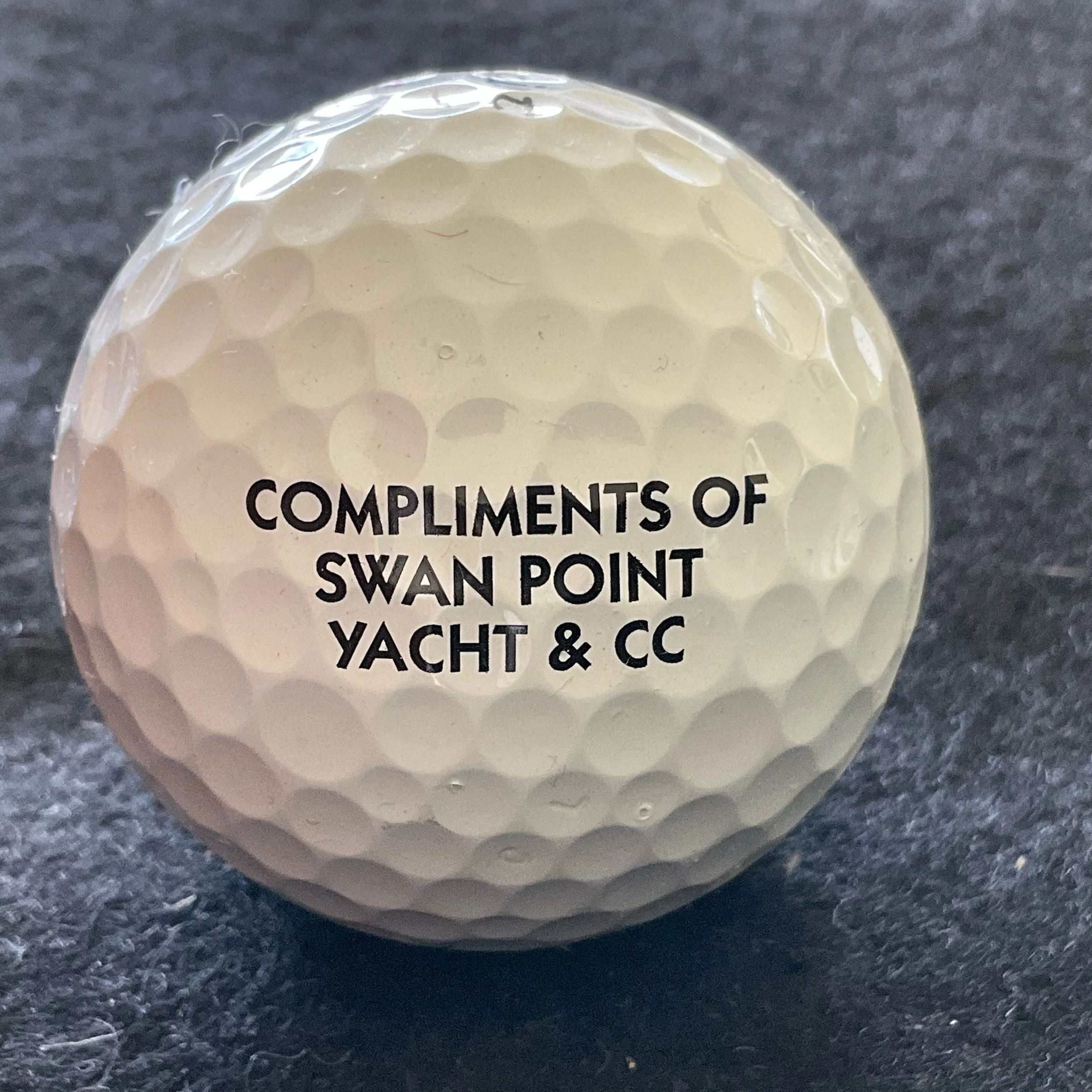 Swan Point Yacht and Country Club