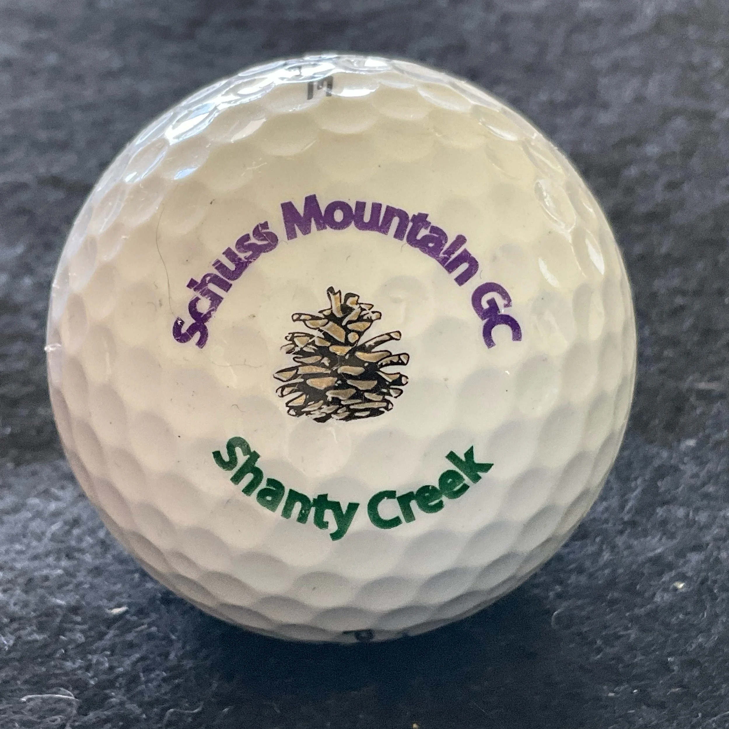 Schuss Mountain Golf Course at Shanty Creek