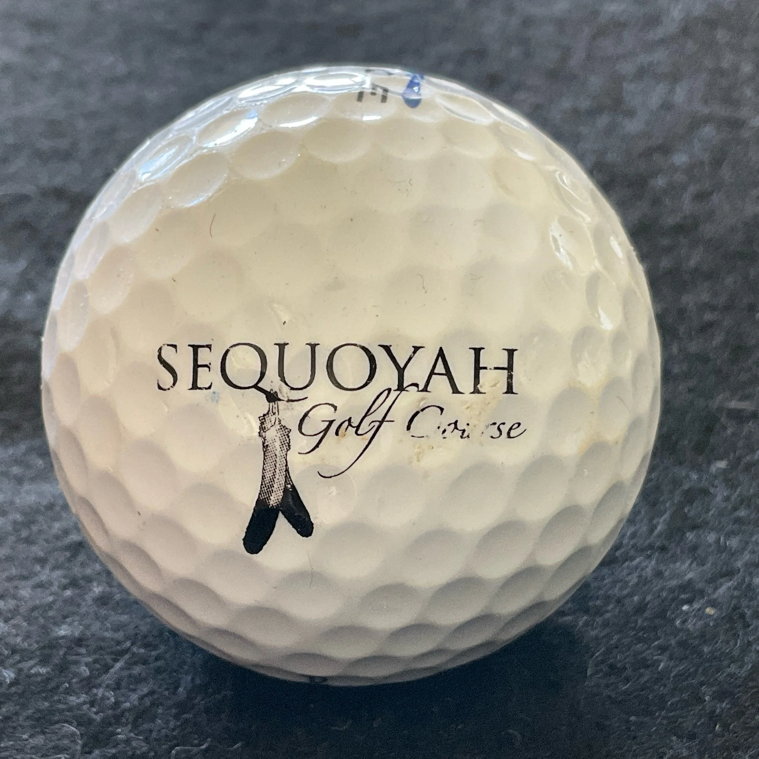 Sequoyah Golf Course