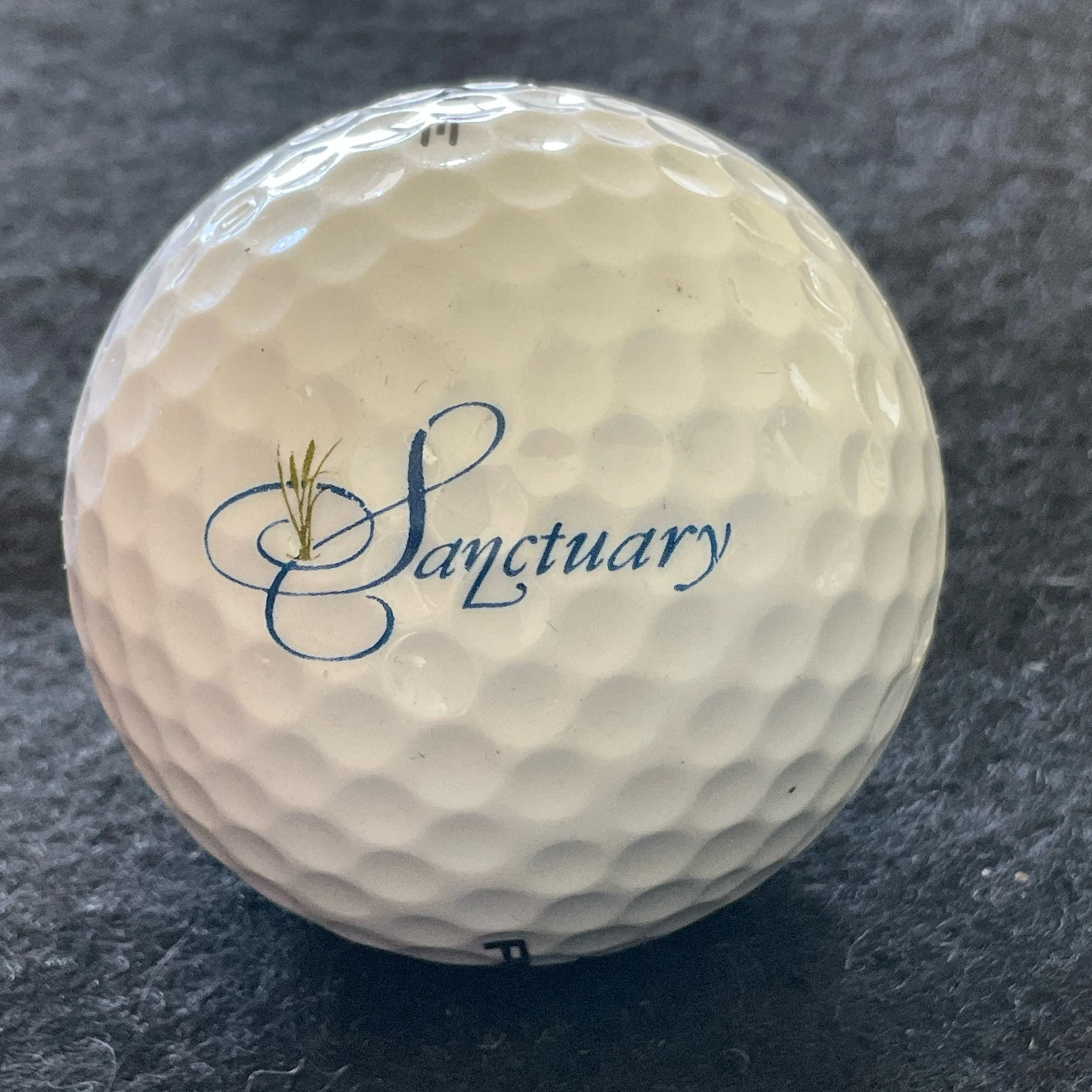 Sanctuary Golf Course at Westworld