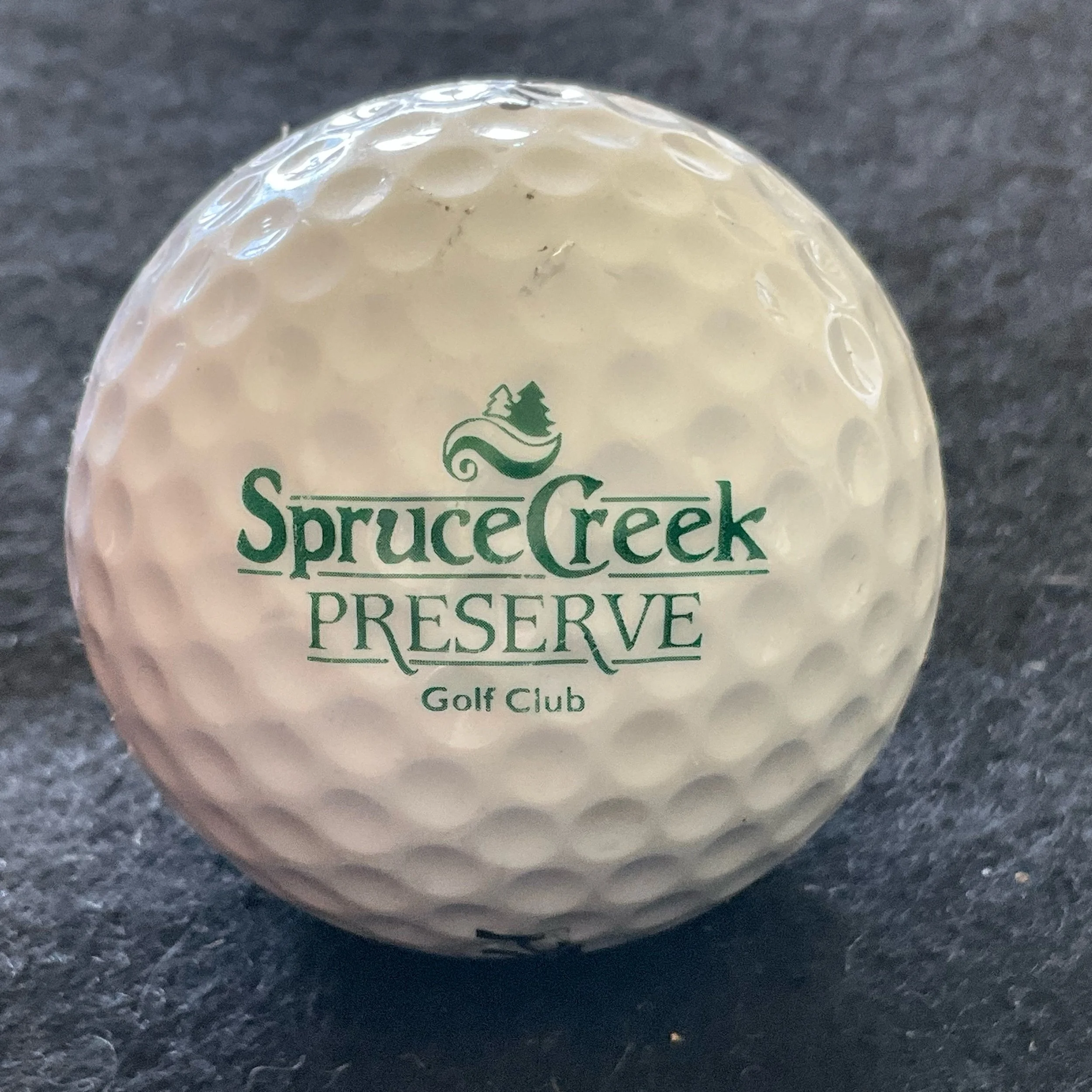 Spruce Creek Preserve Golf Club