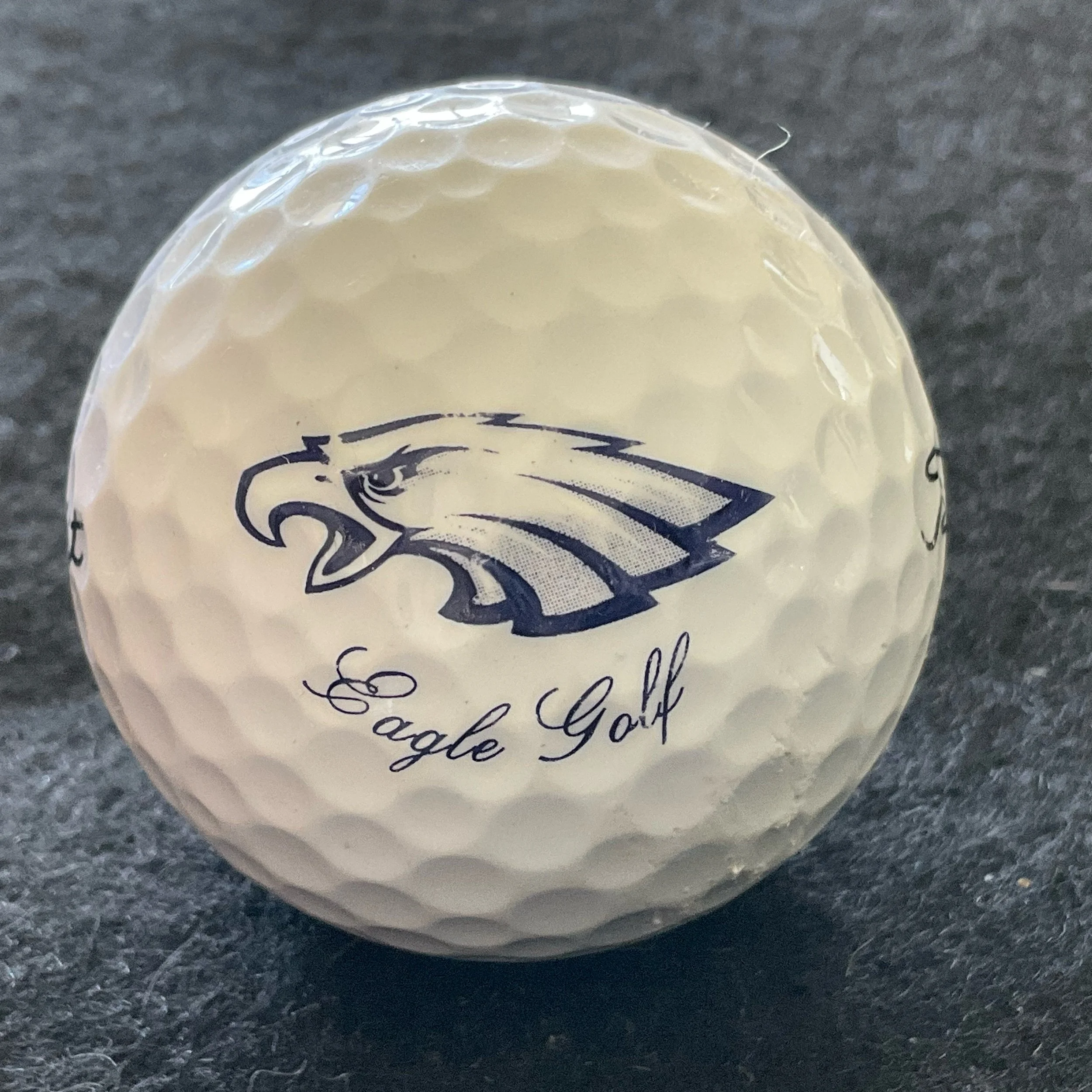 South Lake Eagles High School Golf Team