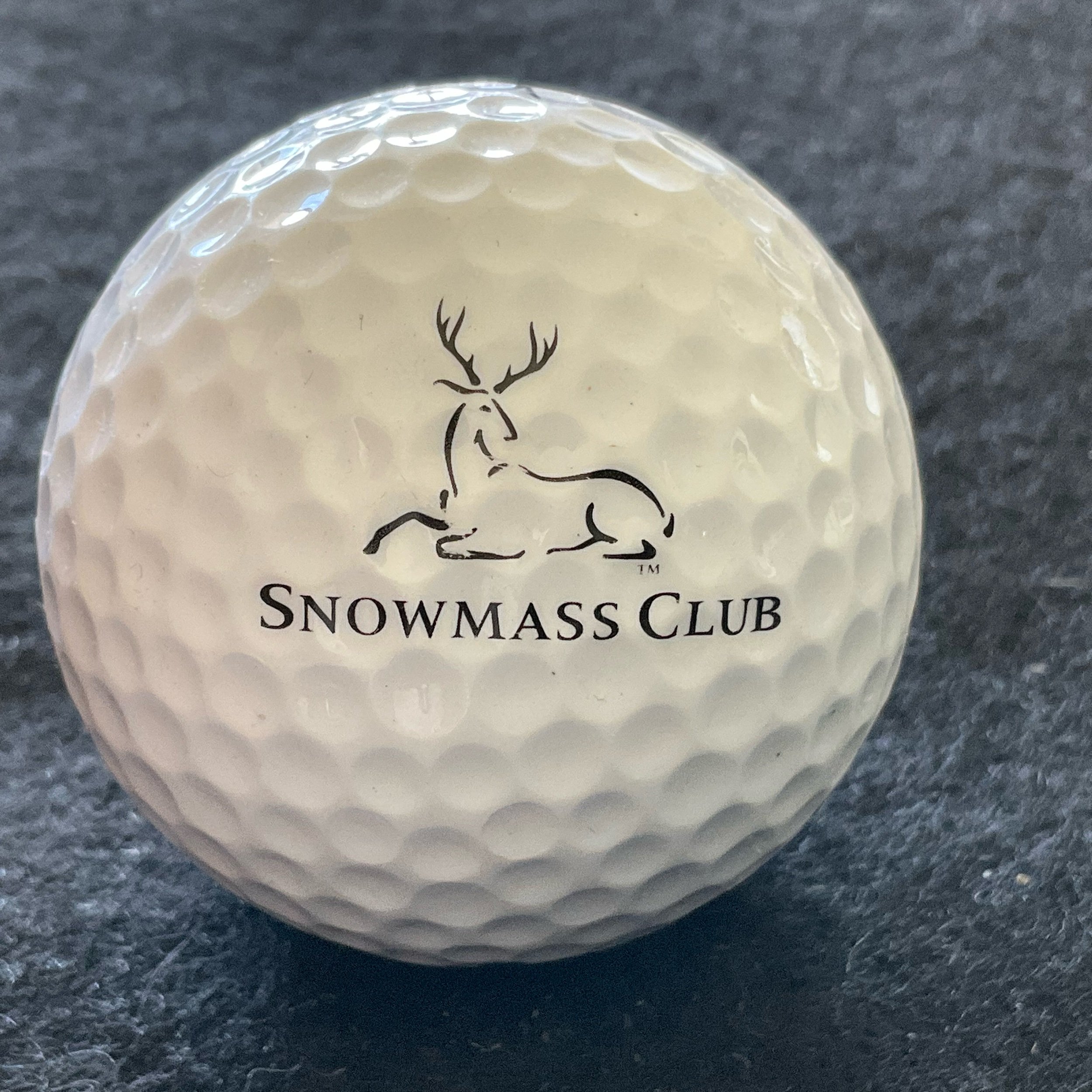 Snowmass Club