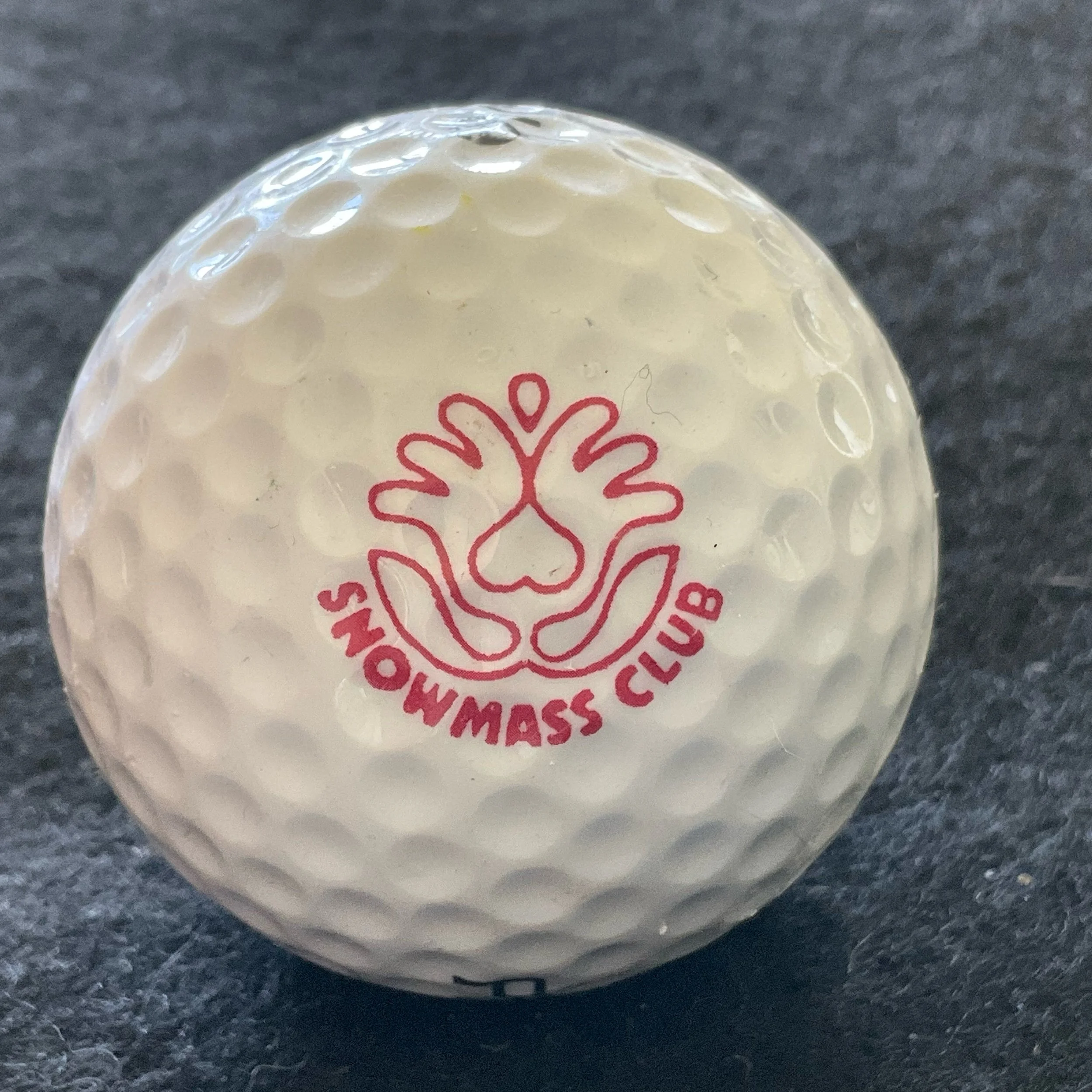 Snowmass Club