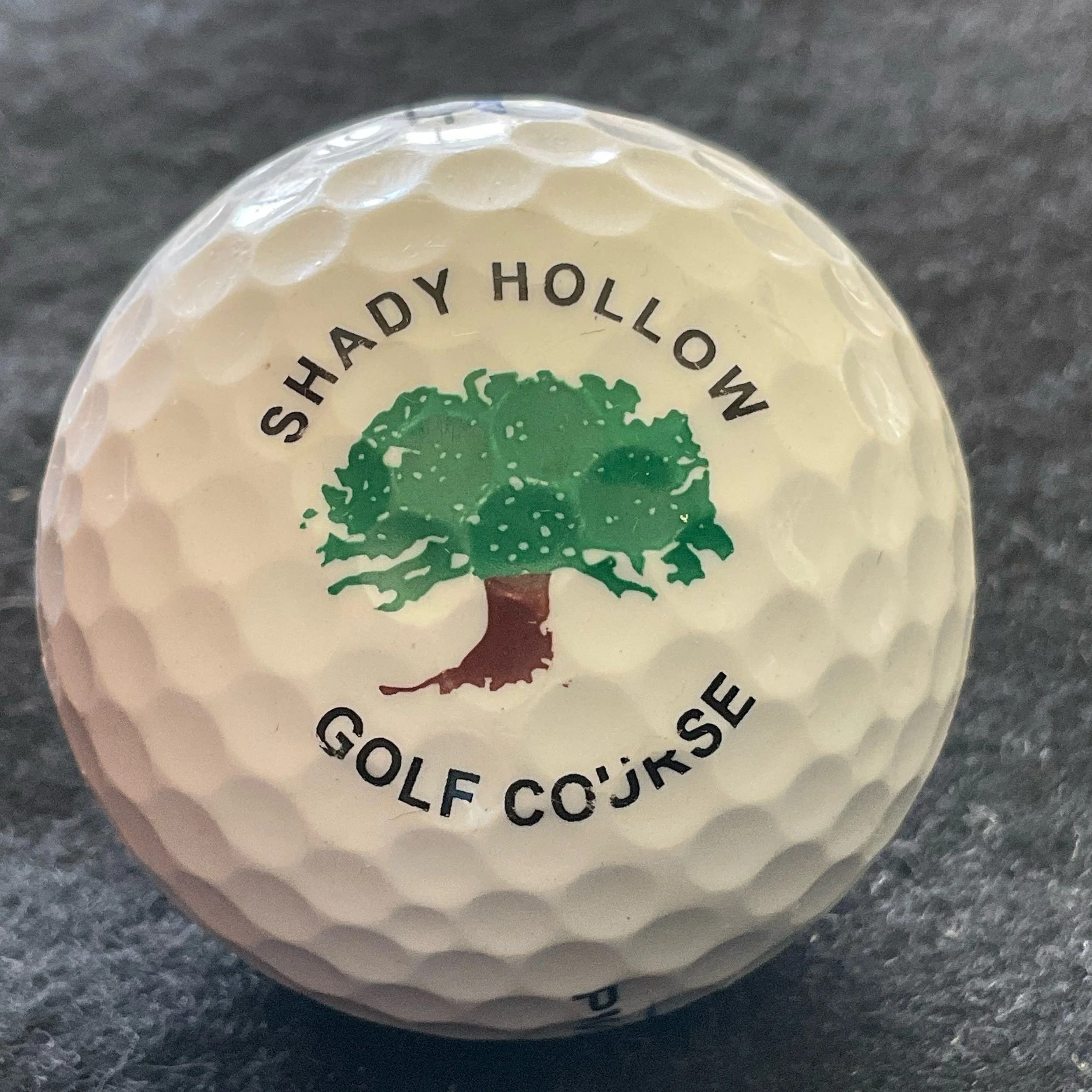 Shady Hollow Golf Course