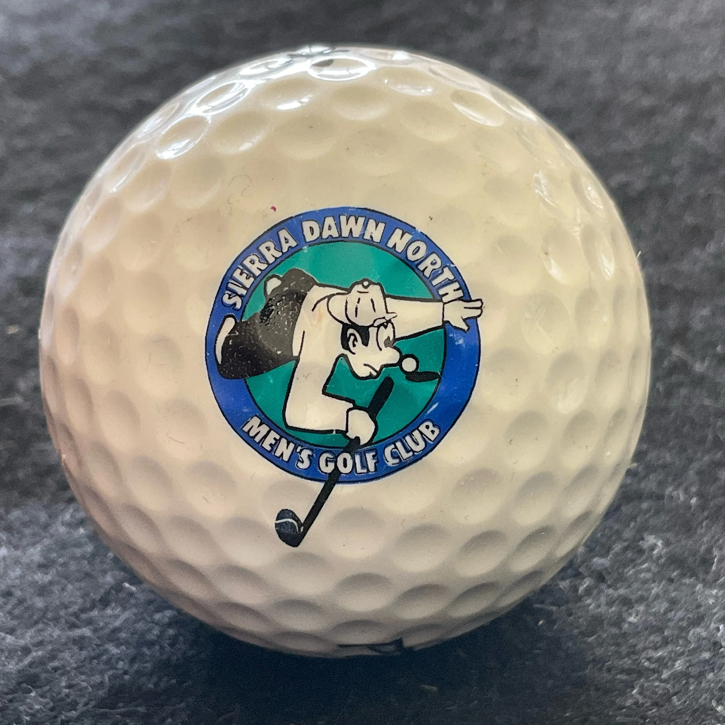 Sierra Dawn North Men’s Golf Club