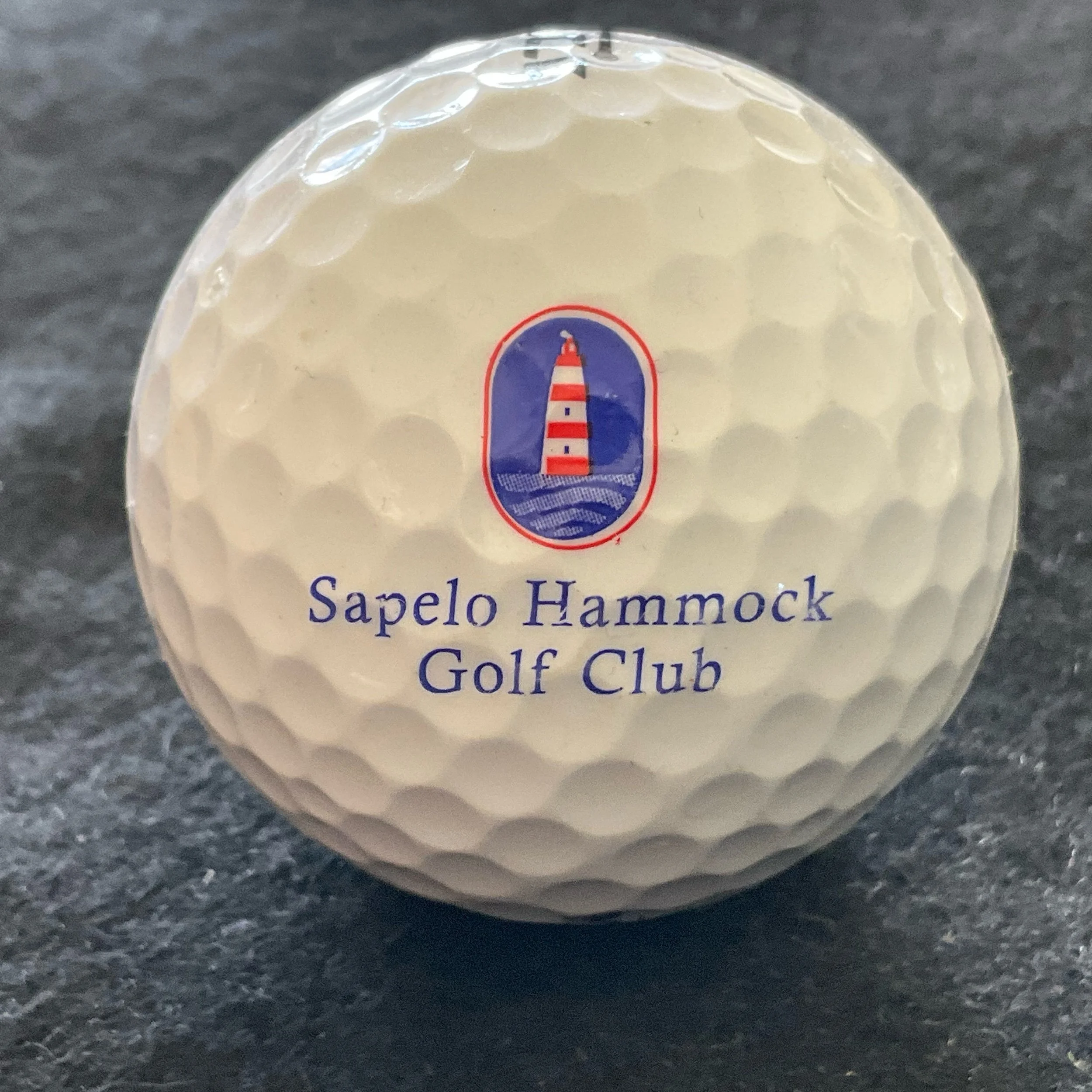 Sapelo Hammock Golf Club