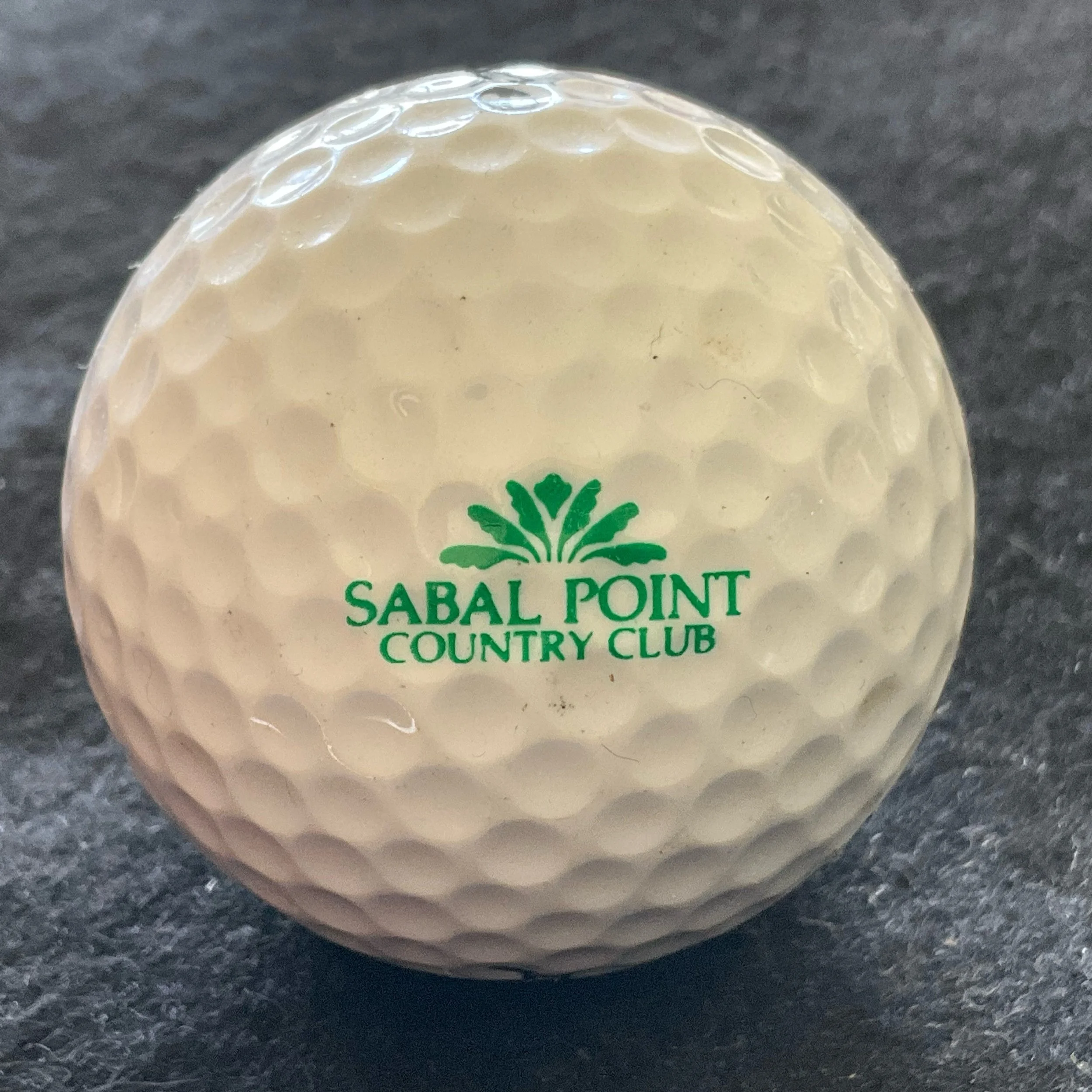 Sabal Point Country Club
