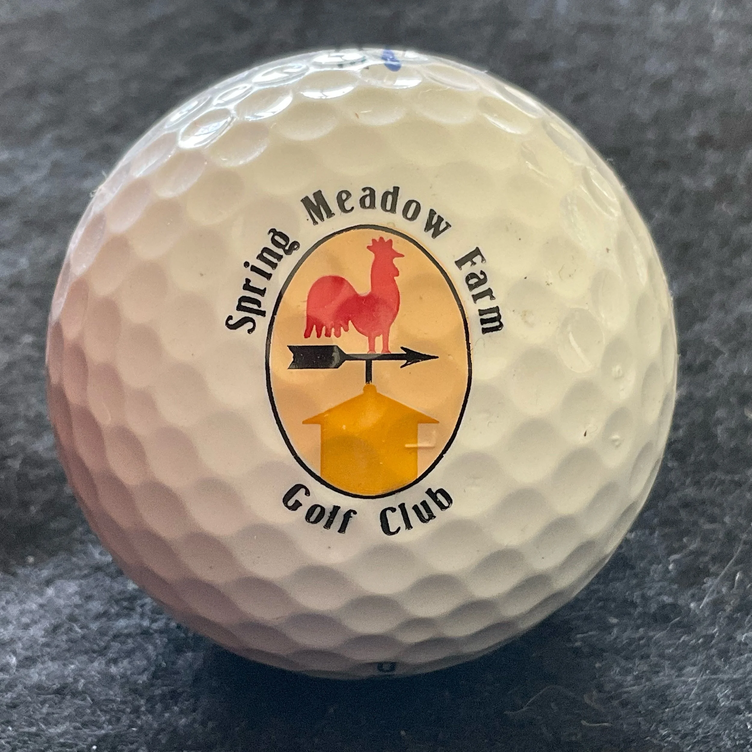 Spring Meadow Farm Golf Club