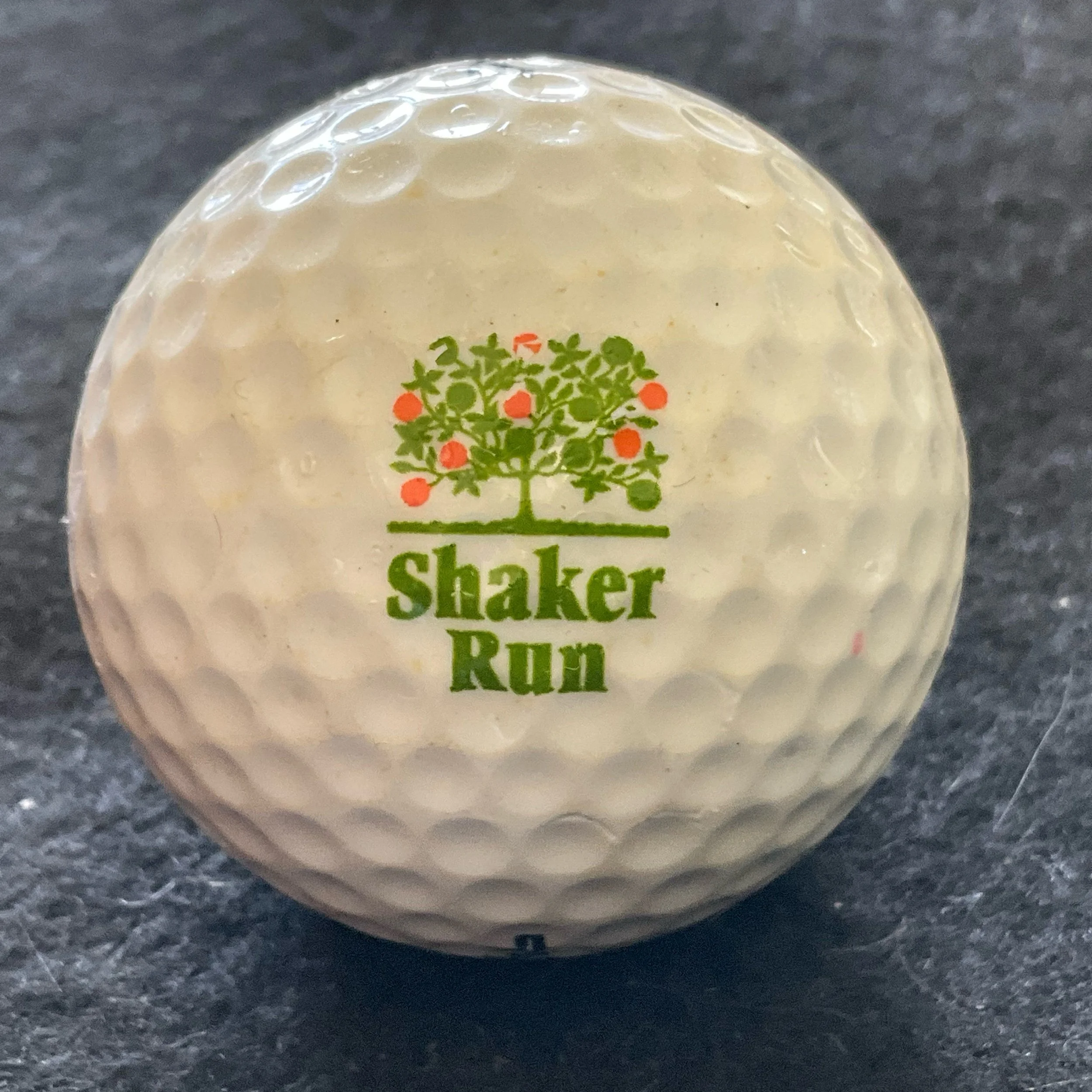 Shaker Run Golf Club