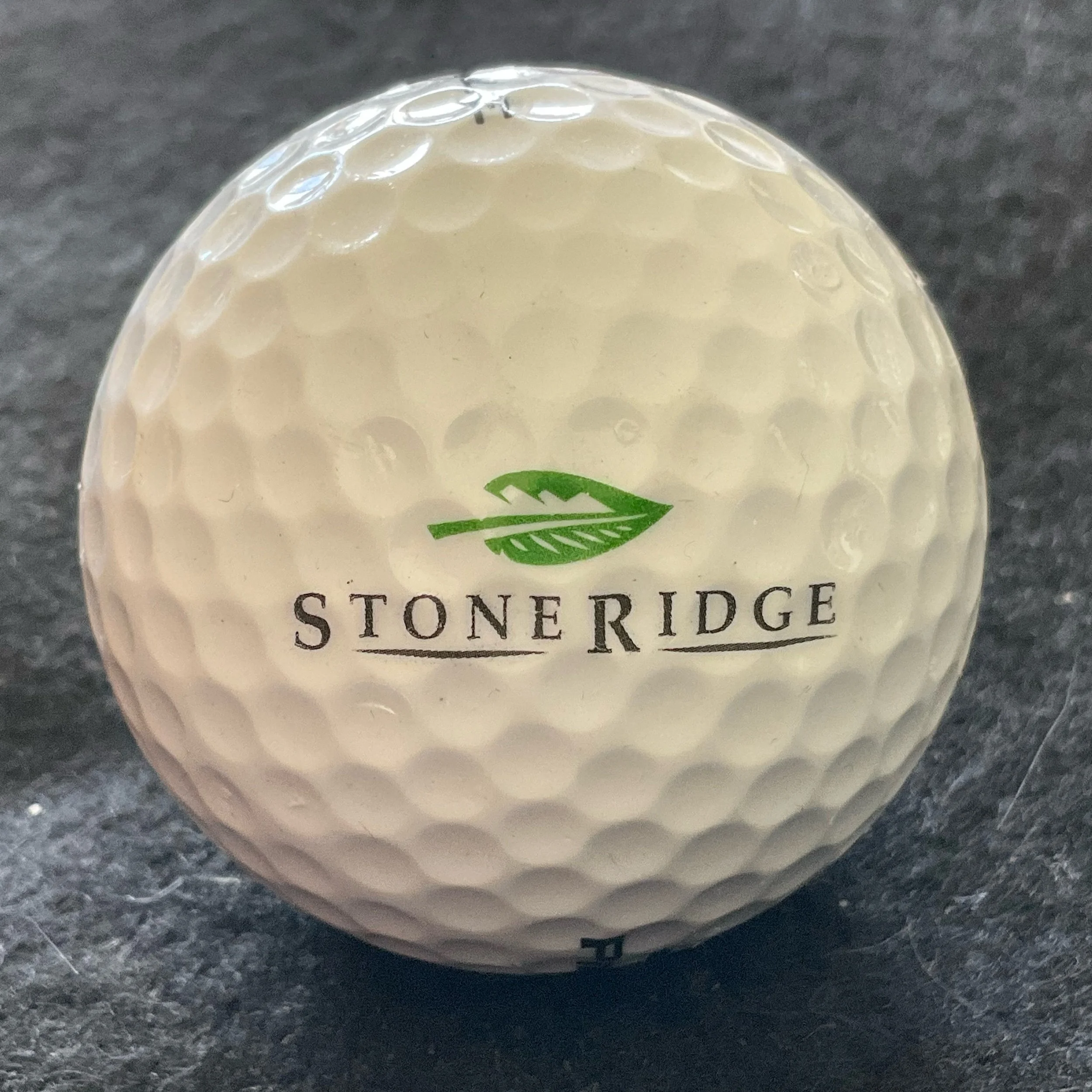 Stone Ridge Golf and Country Club