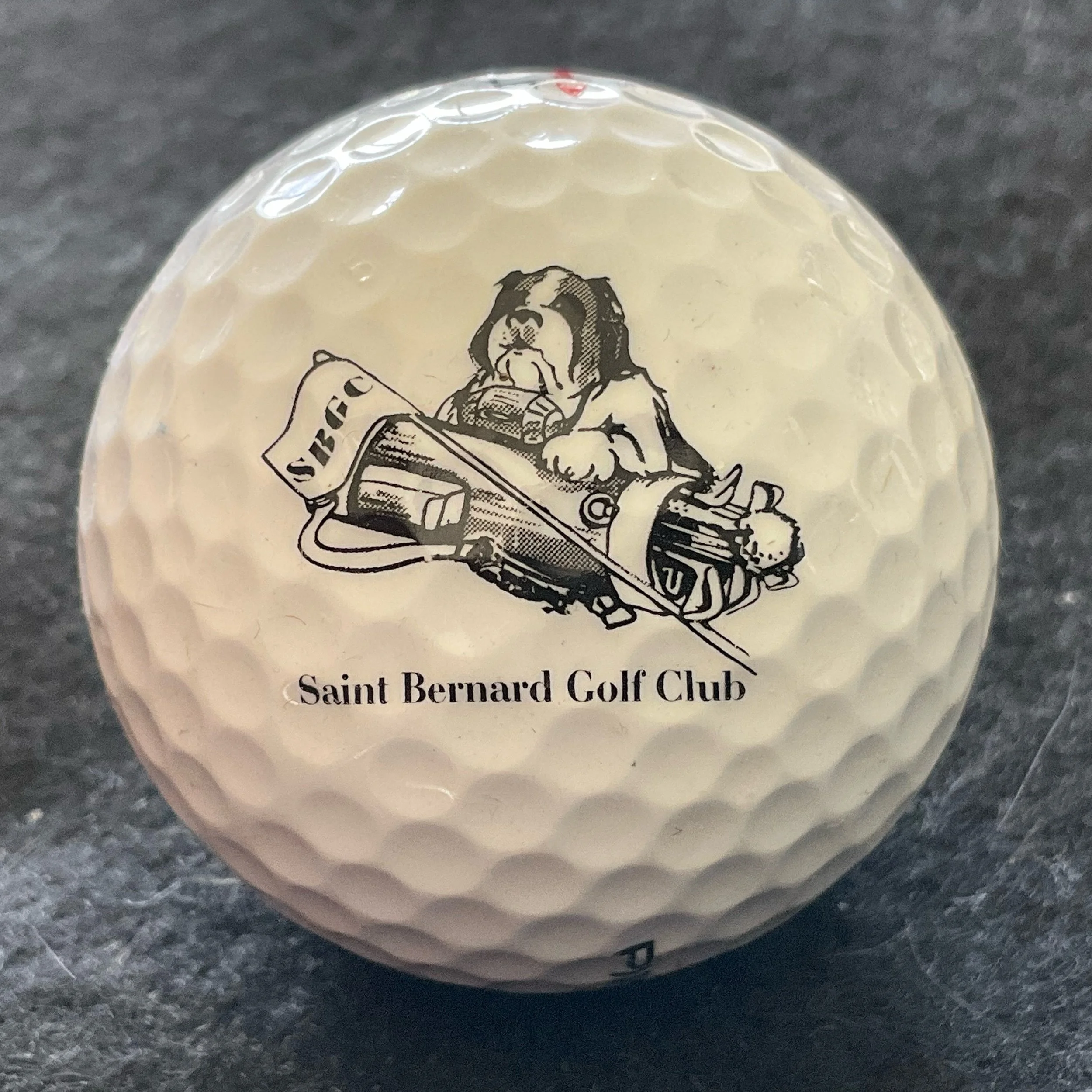 Saint Bernard Golf Club